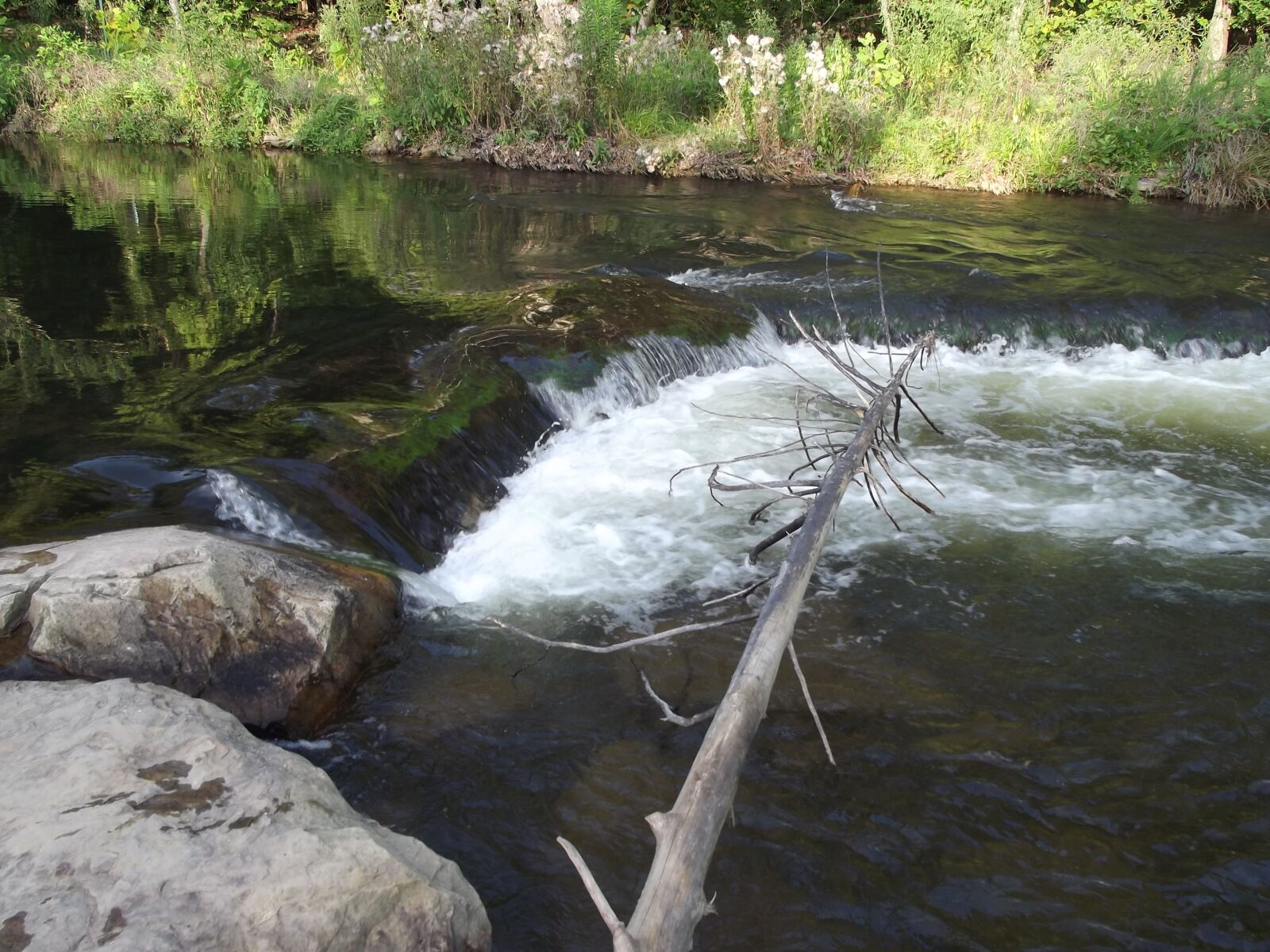 Fujifilm FinePix S2940/Walmart sample photo. River, beaver's, bend photography
