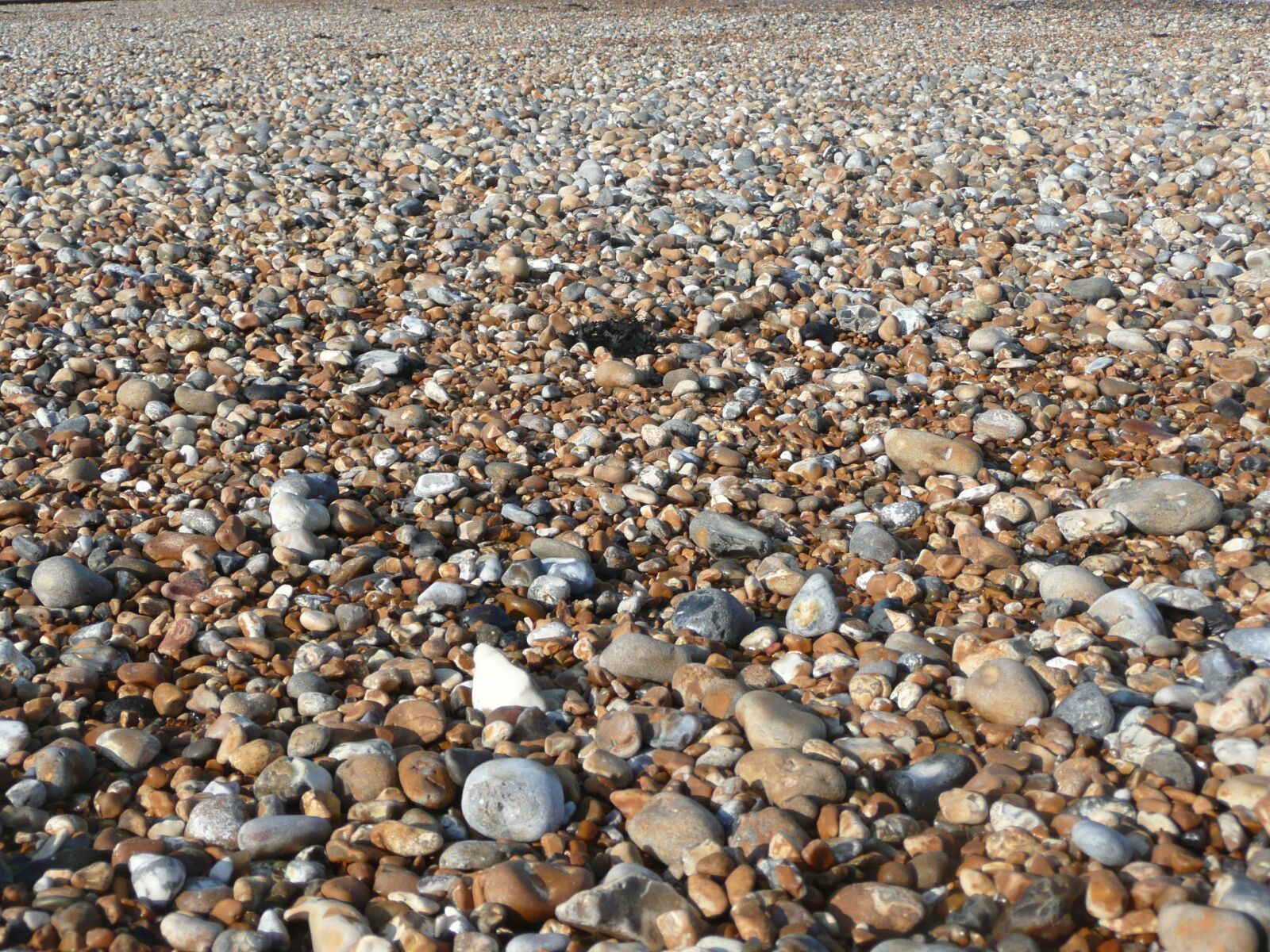Panasonic DMC-TZ3 sample photo. Pebble beach, kingsdown, england photography