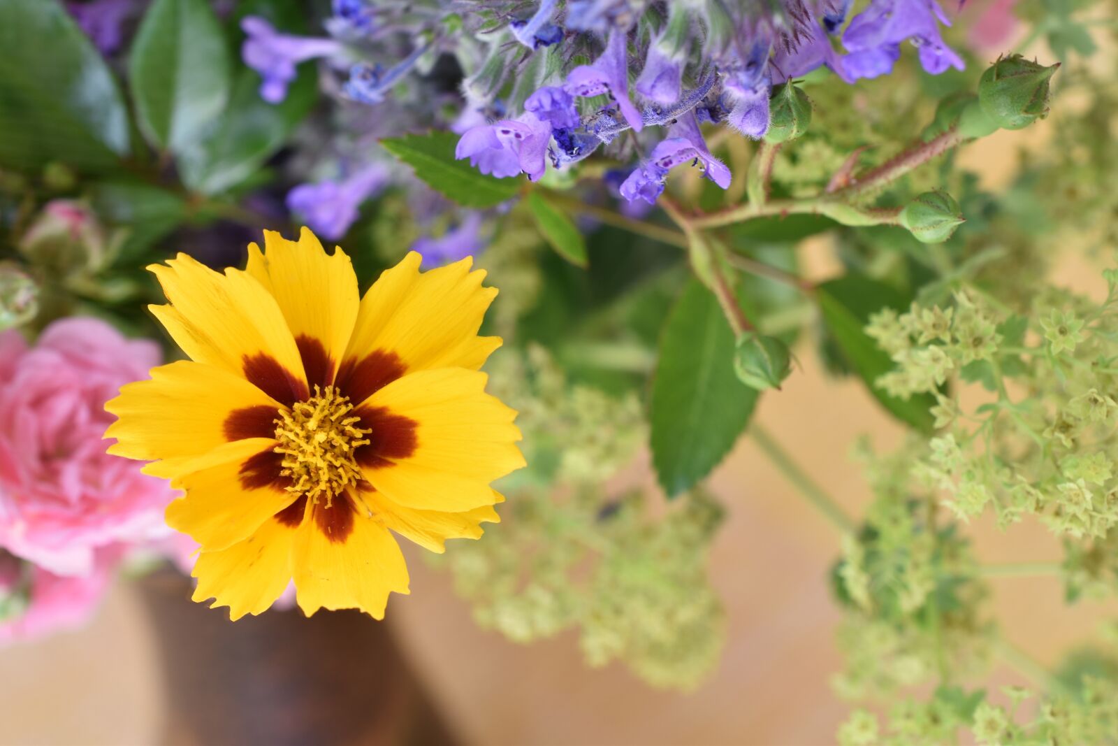 Nikon D5600 sample photo. Flower, yellow, bouquet photography