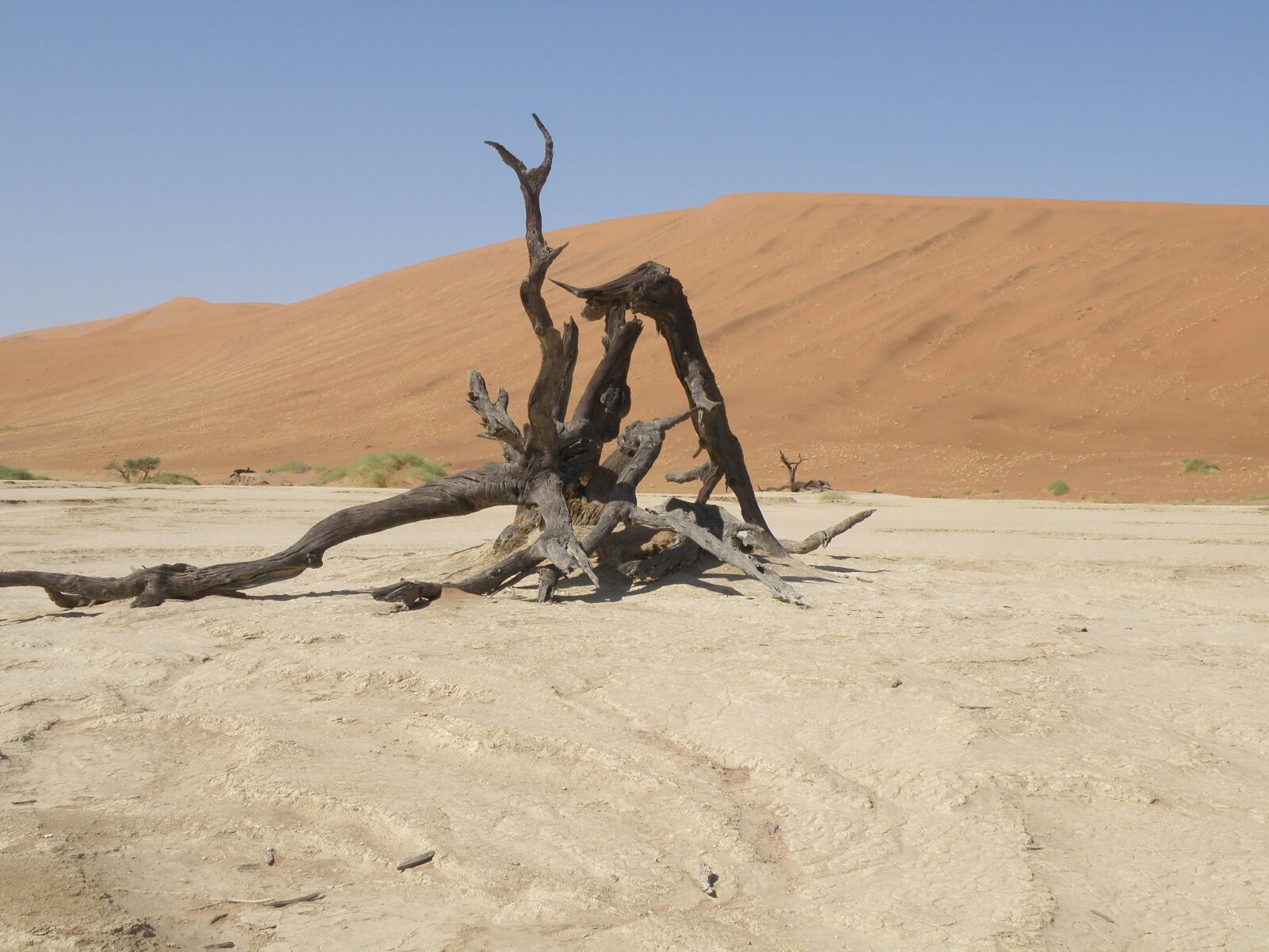 Olympus SP570UZ sample photo. Dunes, namibia, desert photography