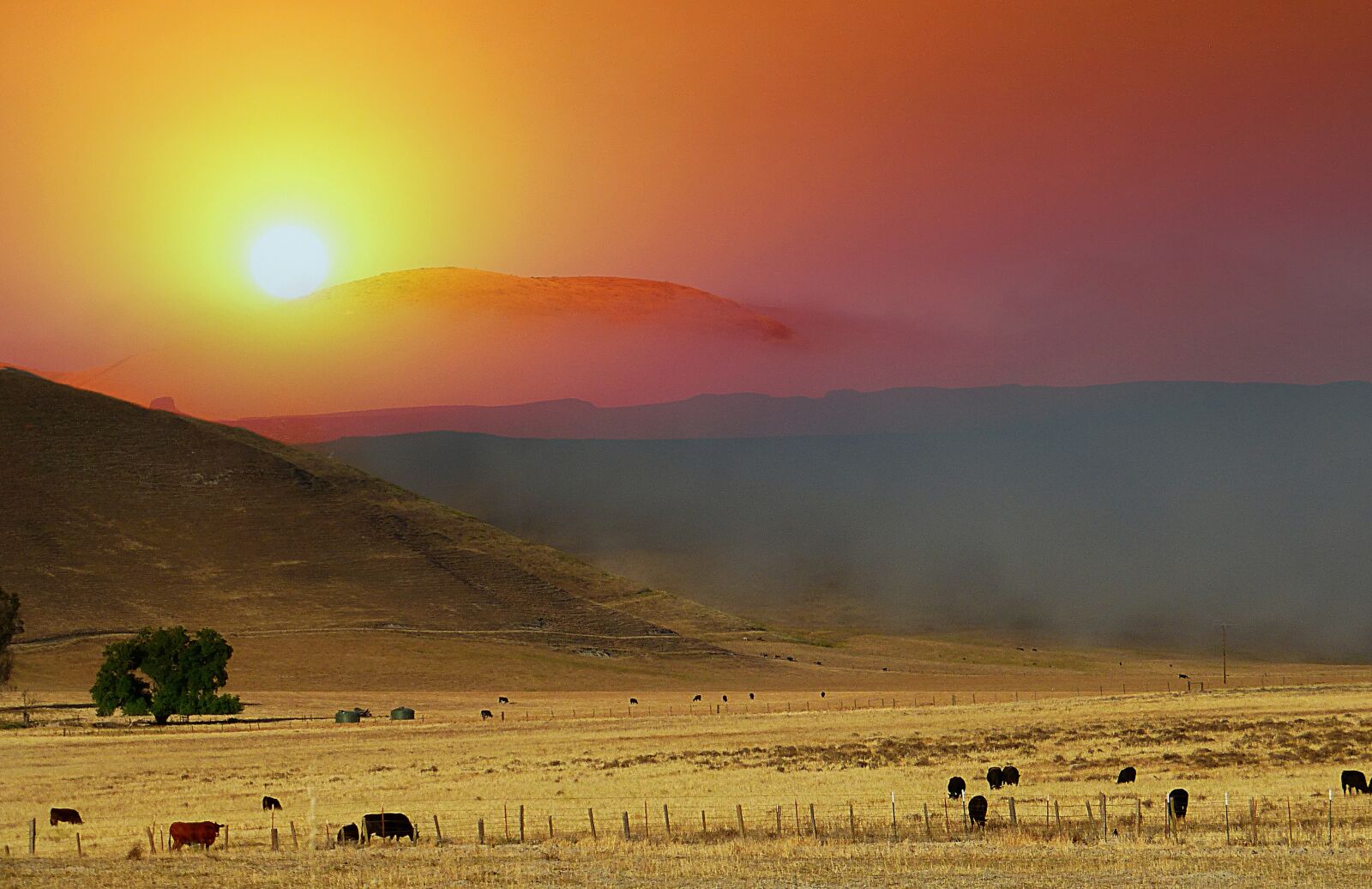 Panasonic Lumix DMC-ZS25 (Lumix DMC-TZ35) sample photo. Sunrise, mist, landscape photography