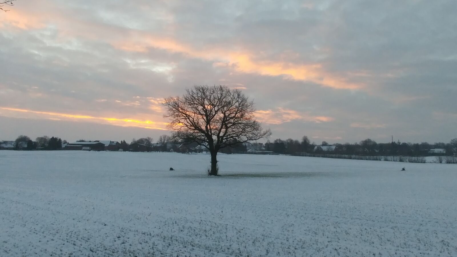 LG G5 sample photo. Nature, winter, snow photography