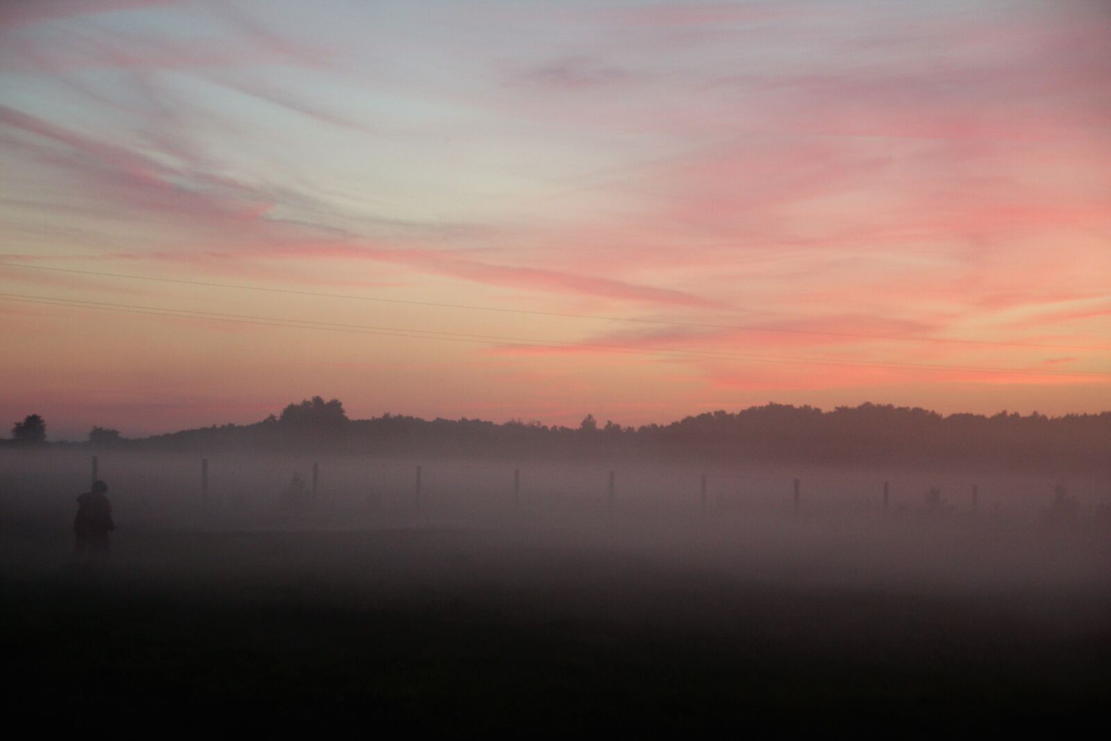 Canon EOS 600D (Rebel EOS T3i / EOS Kiss X5) sample photo. The fog, meadow, nature photography