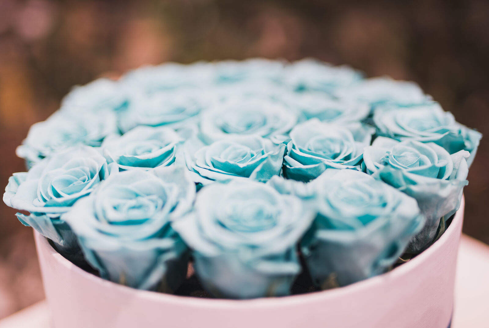 Sony a7 II sample photo. Blue, rose, bouquet, collections photography