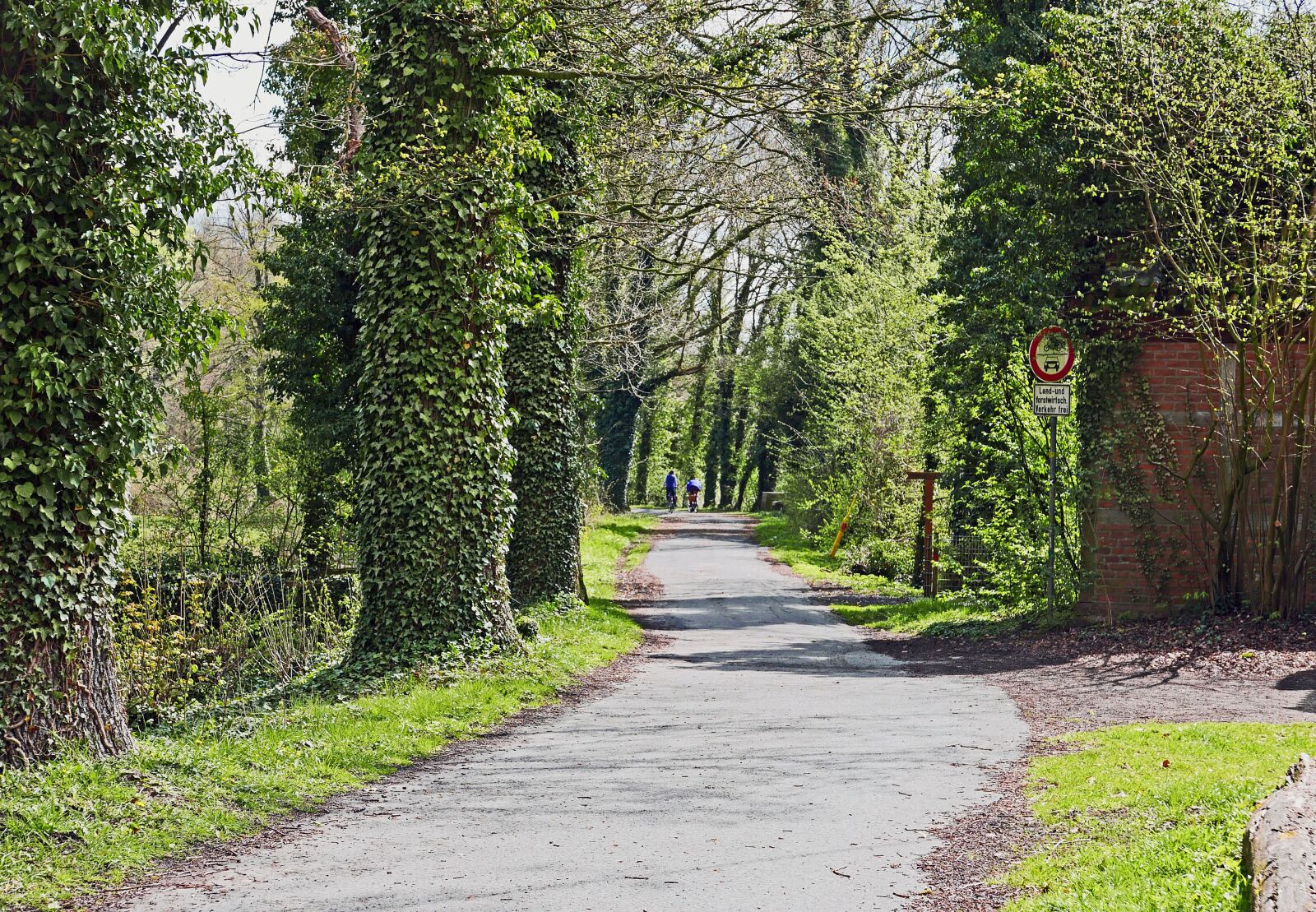 Panasonic Lumix DMC-LX100 sample photo. Bicycle trail, m nsterland photography
