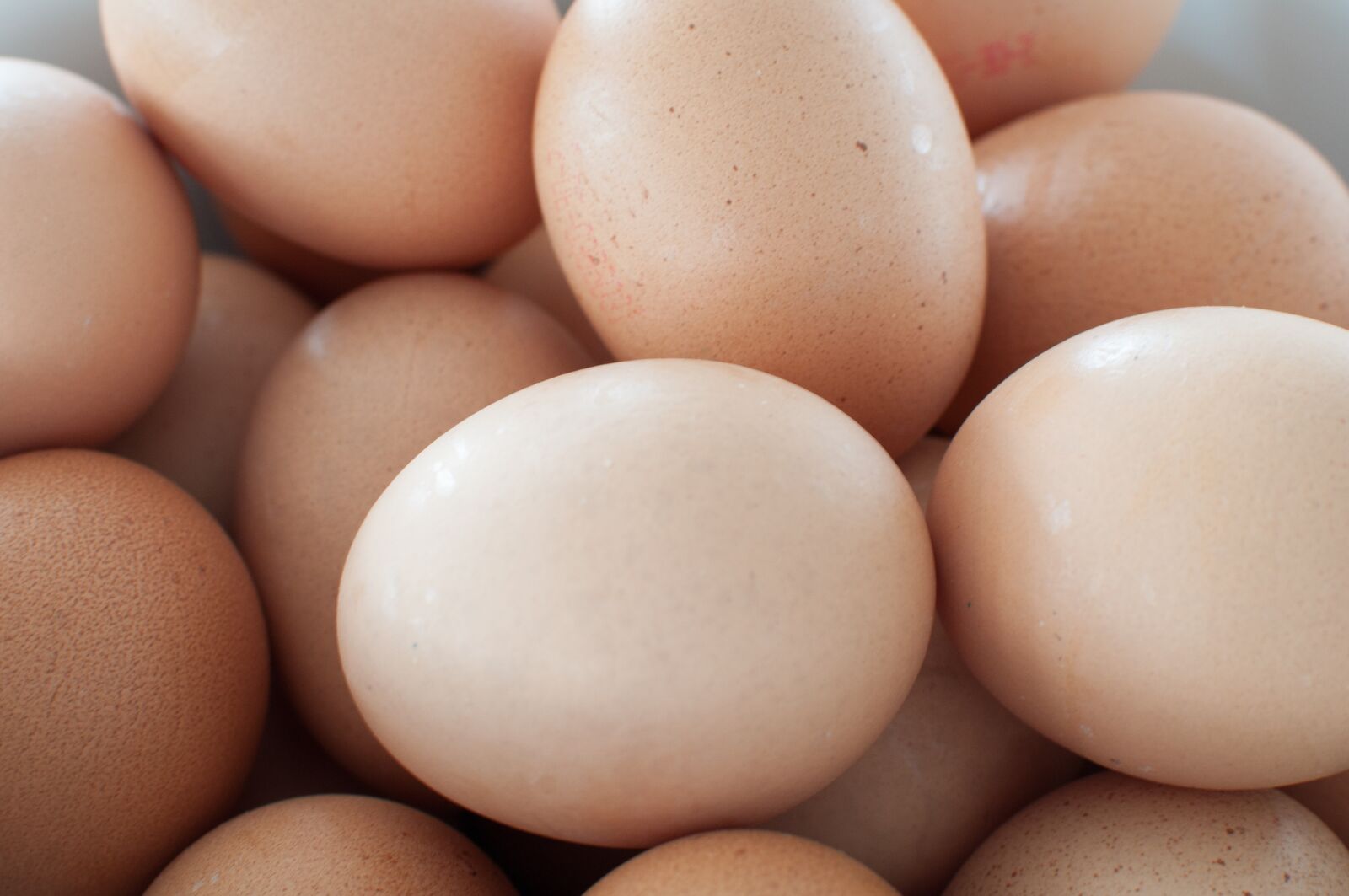 Nikon D90 sample photo. Egg, kitchen, cook photography