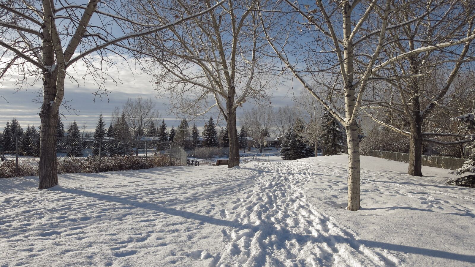 Canon PowerShot ELPH 330 HS (IXUS 255 HS / IXY 610F) sample photo. Winter, snow, frost photography
