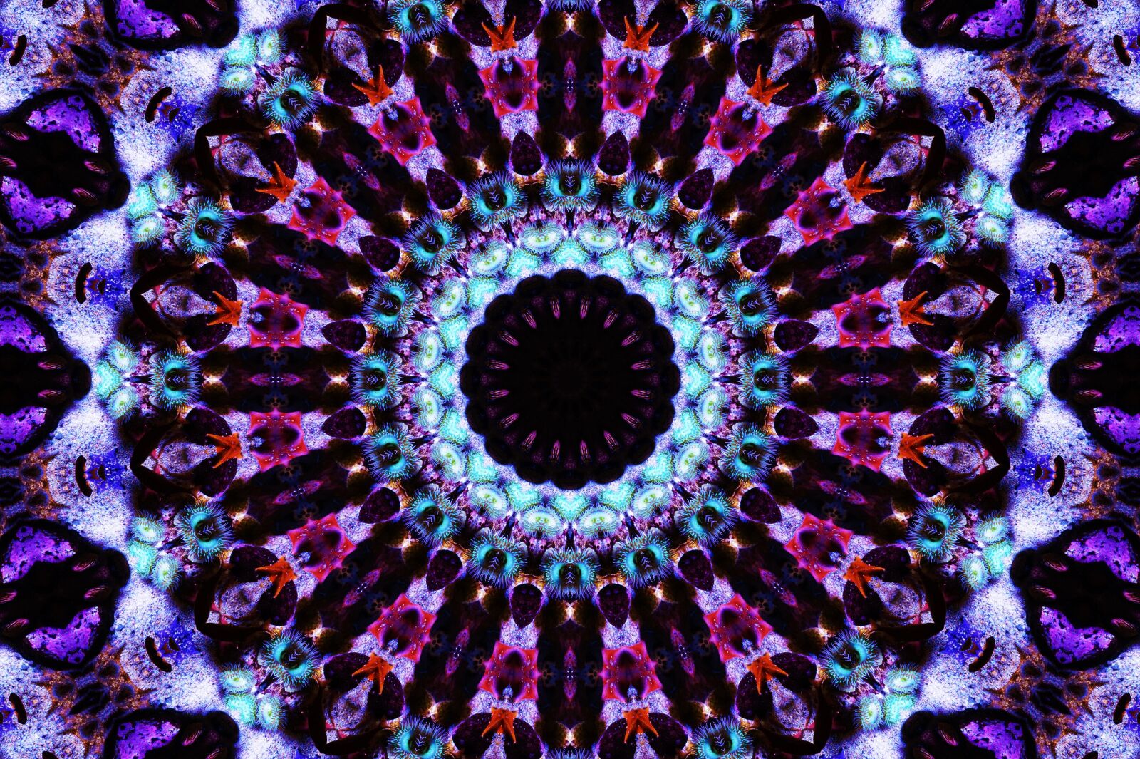 Sony Alpha a5000 (ILCE 5000) sample photo. Kaleidoscope, shape, abstract photography