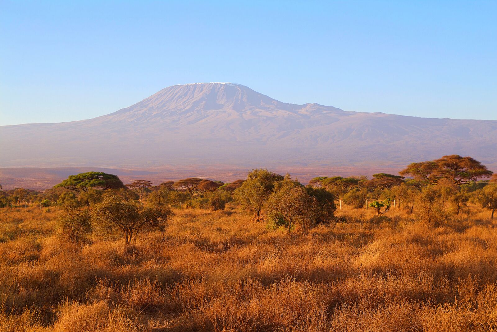 Canon EOS 600D (Rebel EOS T3i / EOS Kiss X5) sample photo. Africa, kilimanjaro, kenya photography