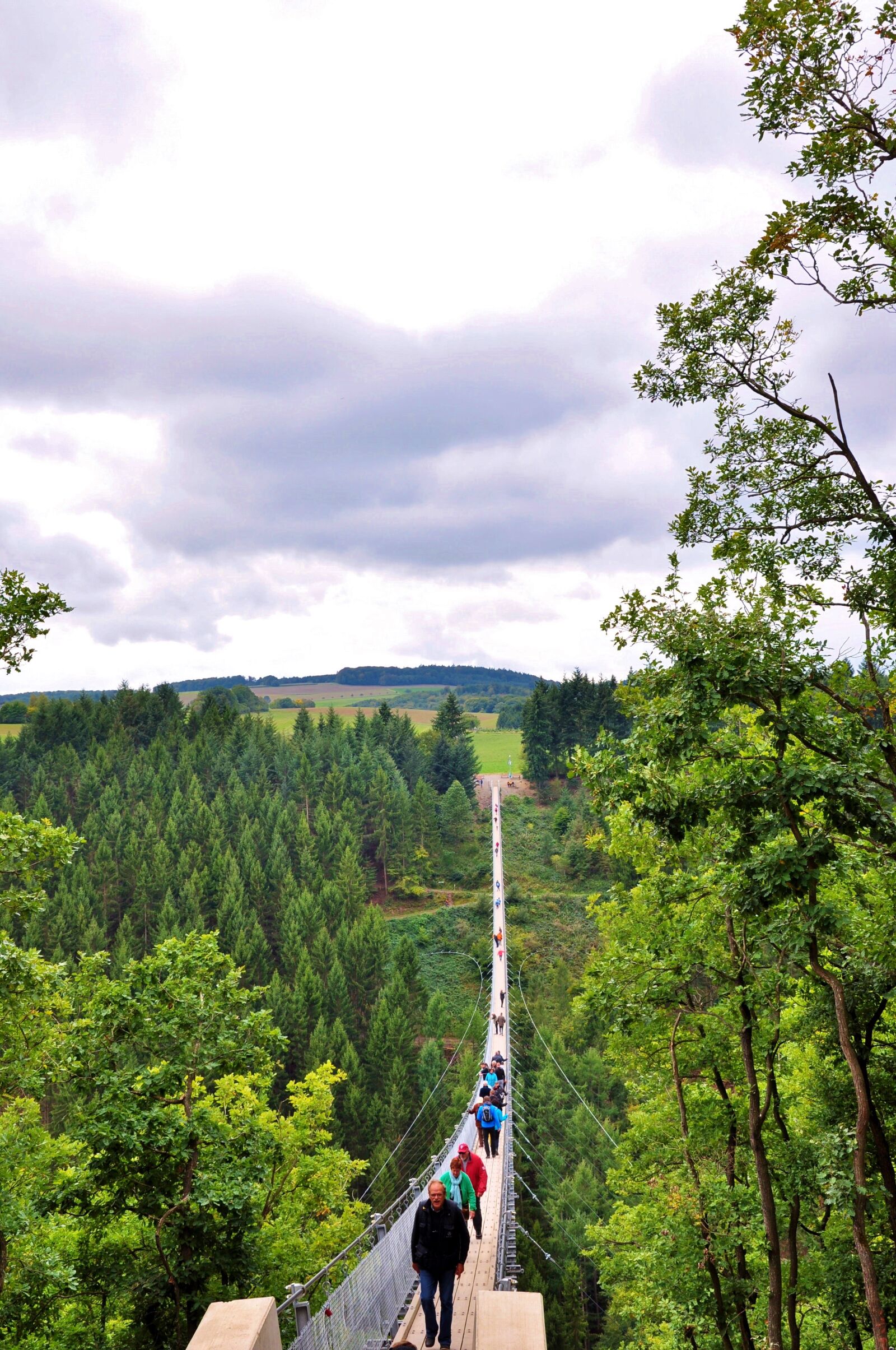 Nikon D90 sample photo. Hanging rope bridge, suspension photography