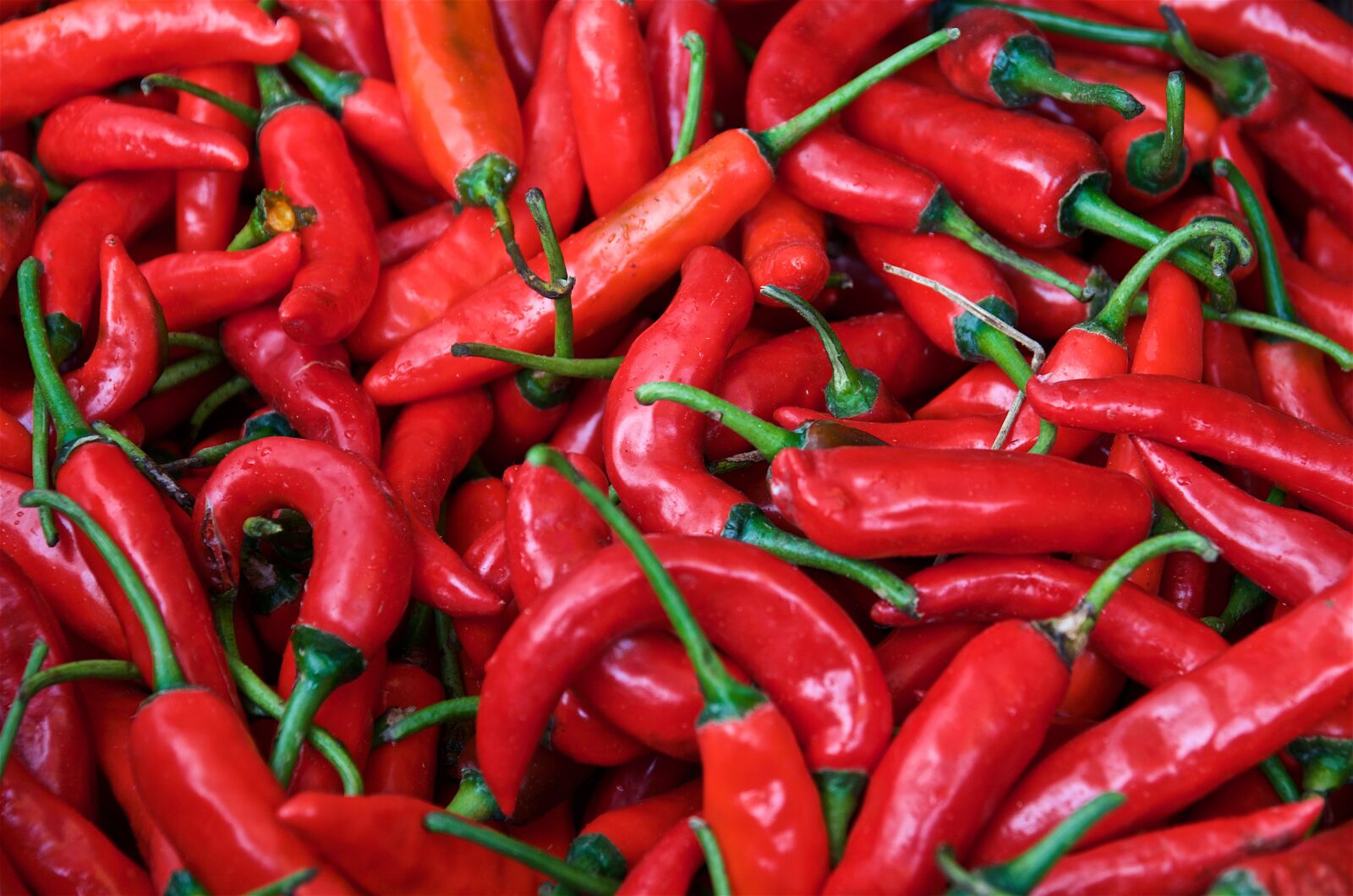 Pentax K-5 sample photo. Chili, red, market photography