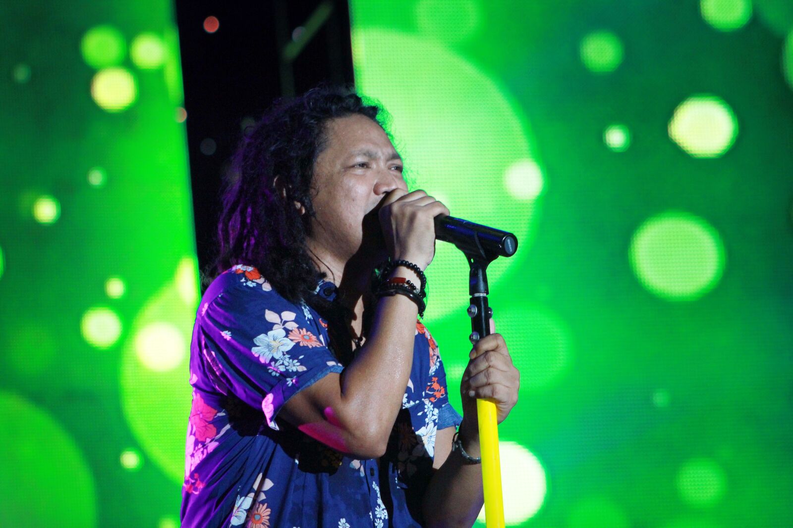 Canon EOS 550D (EOS Rebel T2i / EOS Kiss X4) sample photo. Concert, reggae, music photography