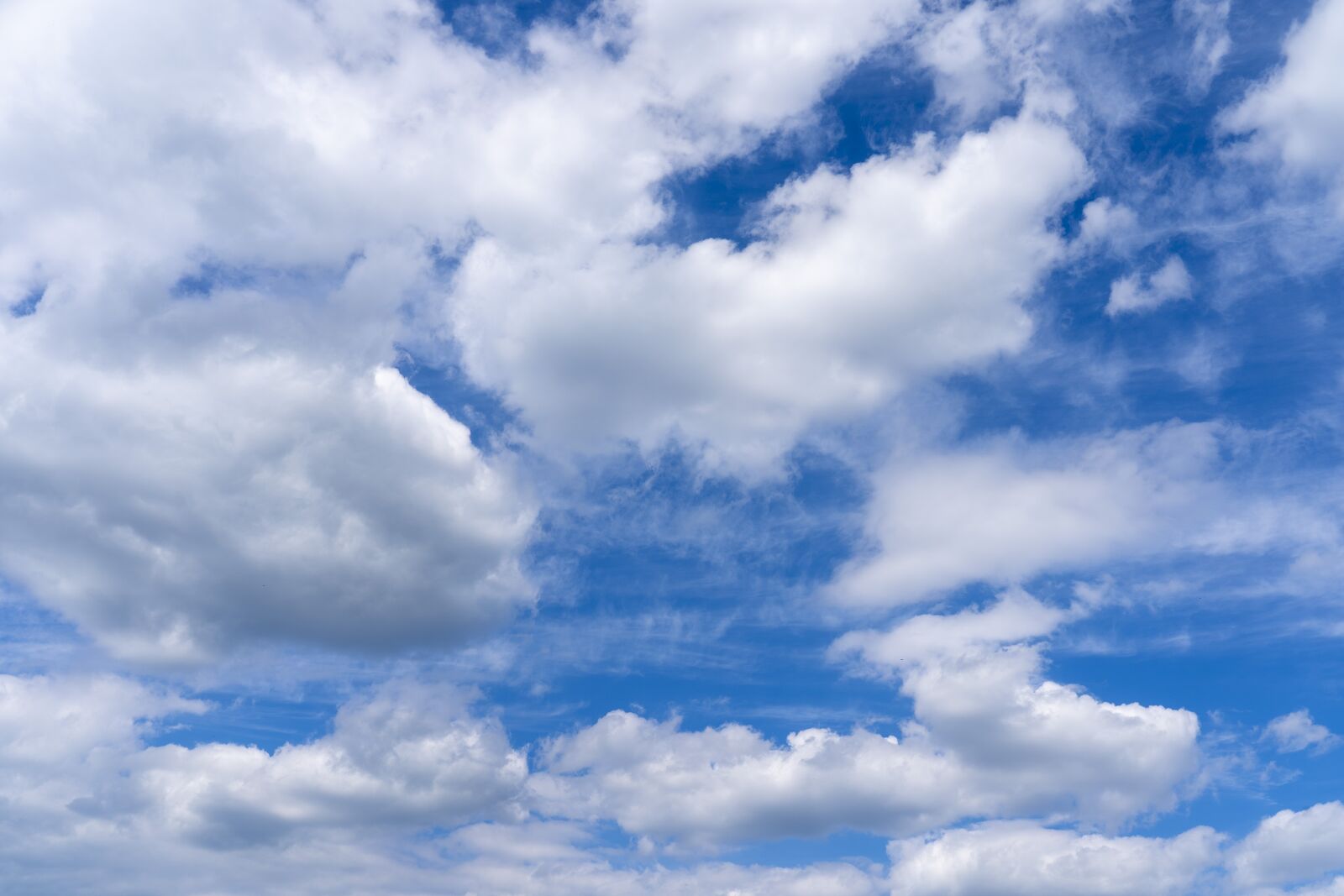 Sony FE 24-105mm F4 G OSS sample photo. Clouds, the sky, background photography