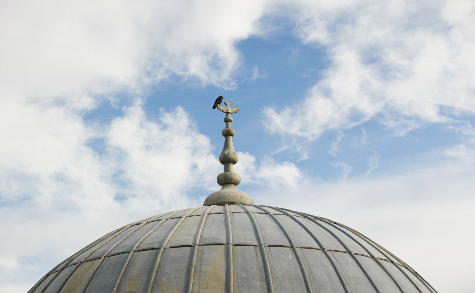 Sigma dp3 Quattro sample photo. Bird, dome, blue photography