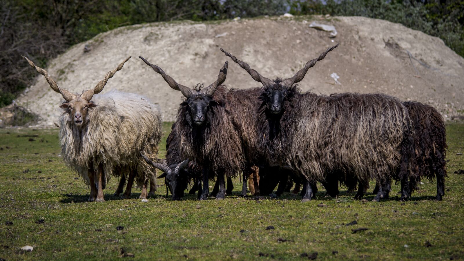 Nikon D3100 sample photo. Screw, looking at, racka photography