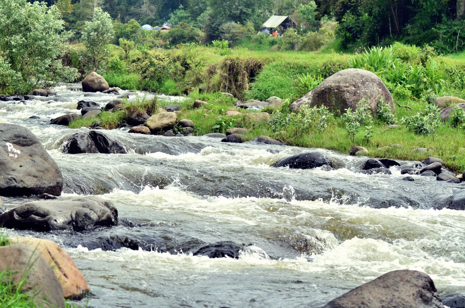 Nikon D5100 sample photo. River, nature, stones photography