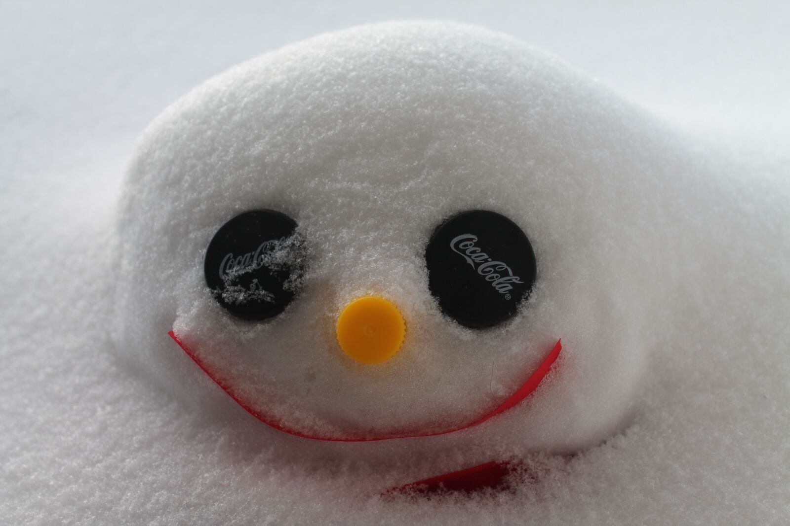 Canon EOS 1100D (EOS Rebel T3 / EOS Kiss X50) sample photo. Snowman, snow, winter photography