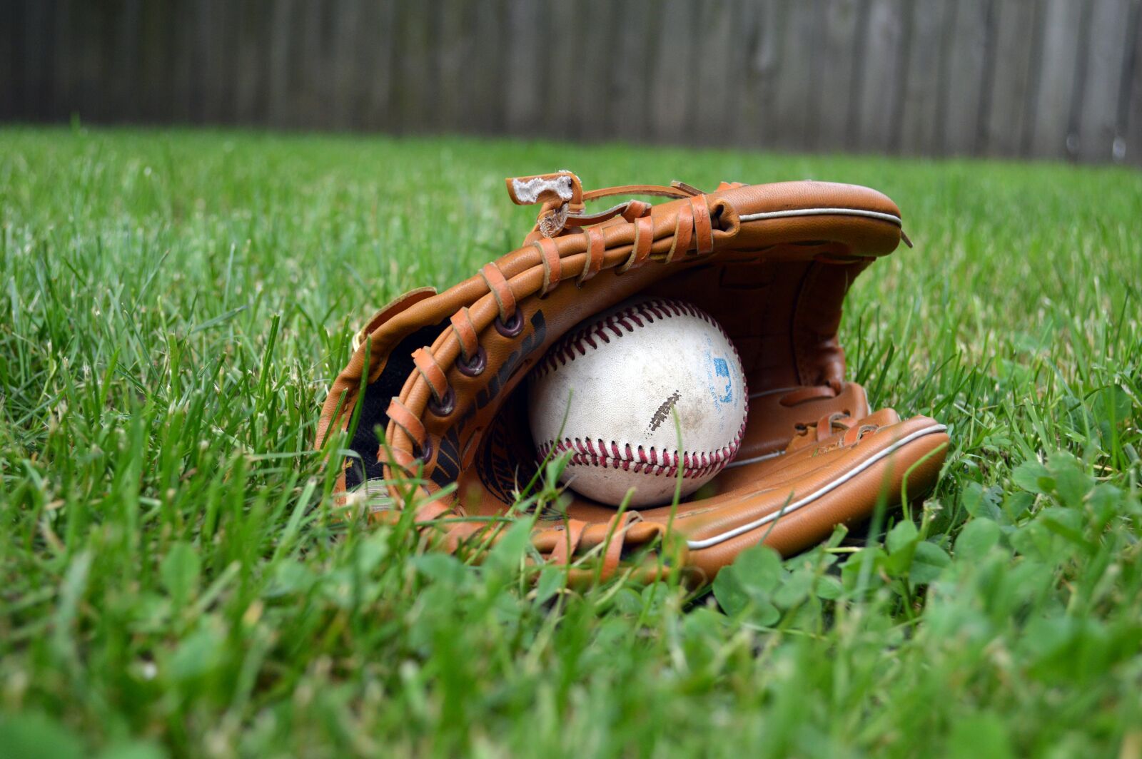 Nikon D3200 sample photo. Baseball, glove, ball photography