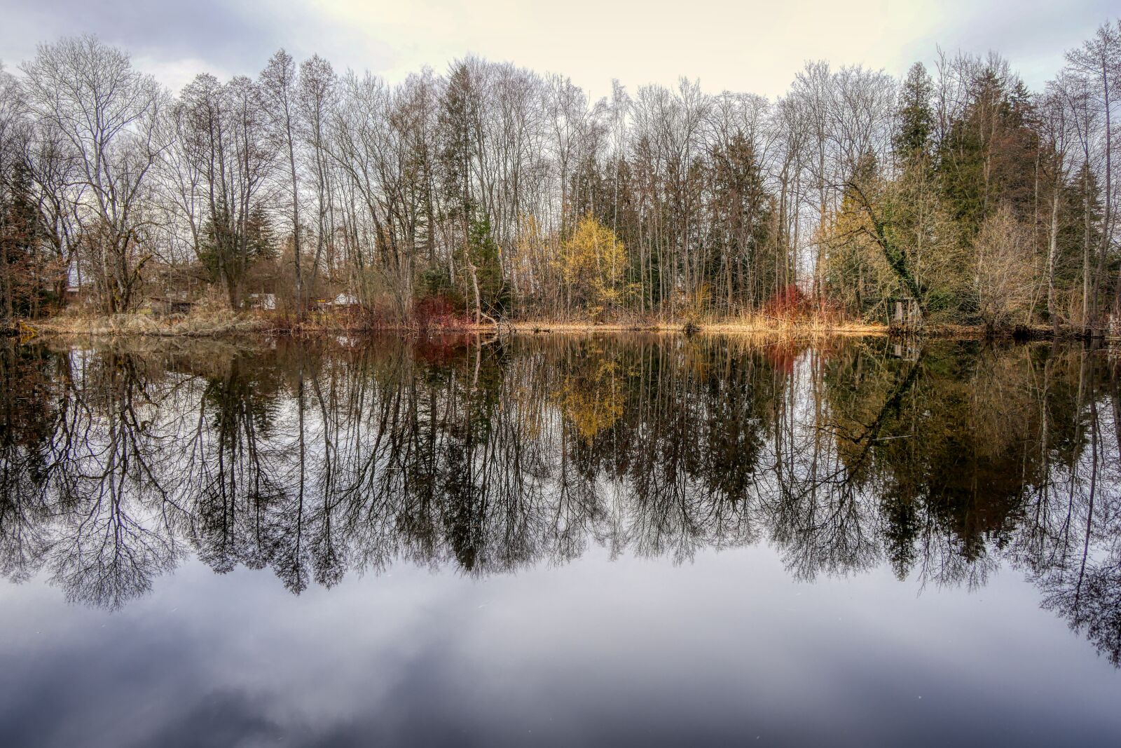 Panasonic Lumix DMC-GX8 sample photo. Lake, water, tree photography