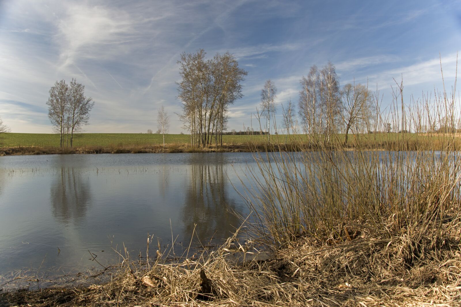 Nikon D5300 sample photo. Pond, water, reflection photography