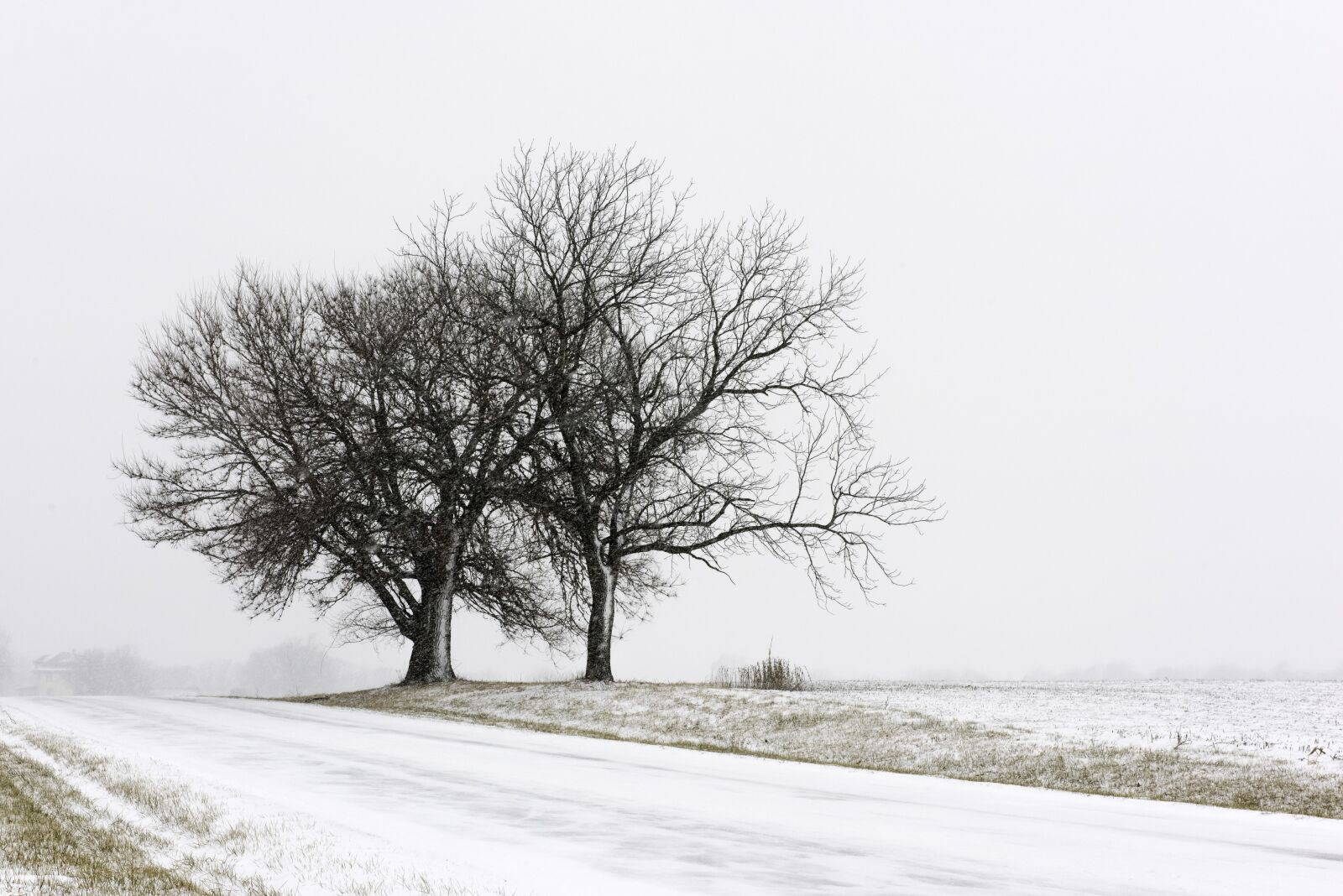 Nikon D810 sample photo. Winter, landscape, snow photography