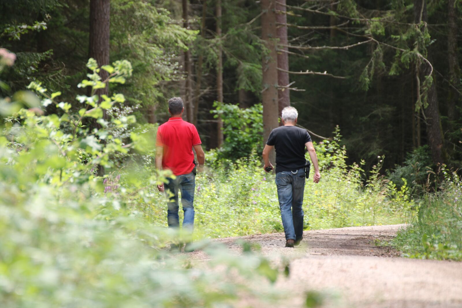 Canon EOS 750D (EOS Rebel T6i / EOS Kiss X8i) sample photo. Police, forest, nature photography