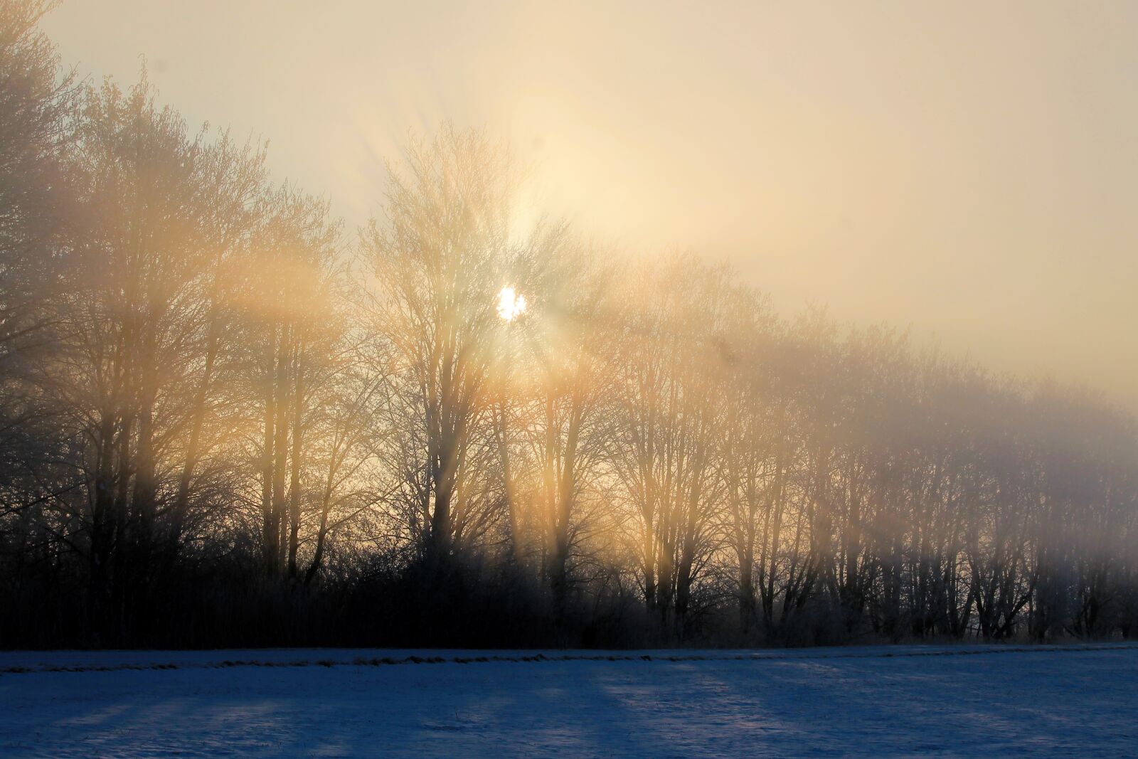 Canon EF-S 55-250mm F4-5.6 IS STM sample photo. Sunrise, landscape, winter photography
