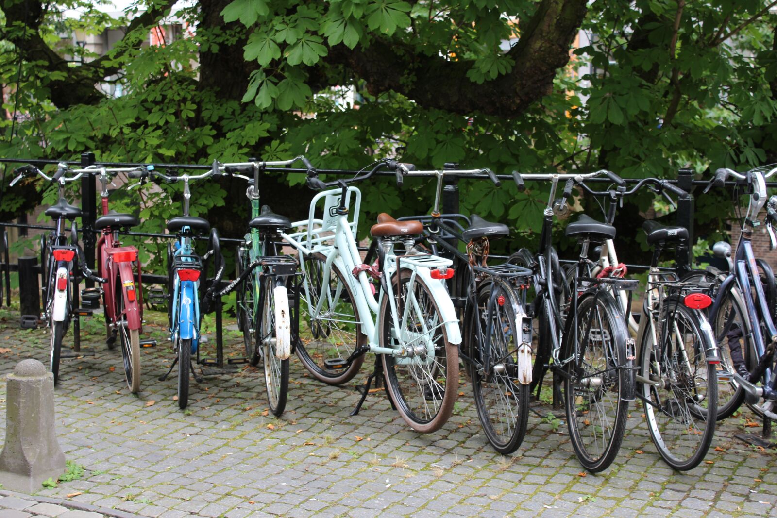 Canon EOS 1200D (EOS Rebel T5 / EOS Kiss X70 / EOS Hi) sample photo. Bicycle, netherlands, holland photography