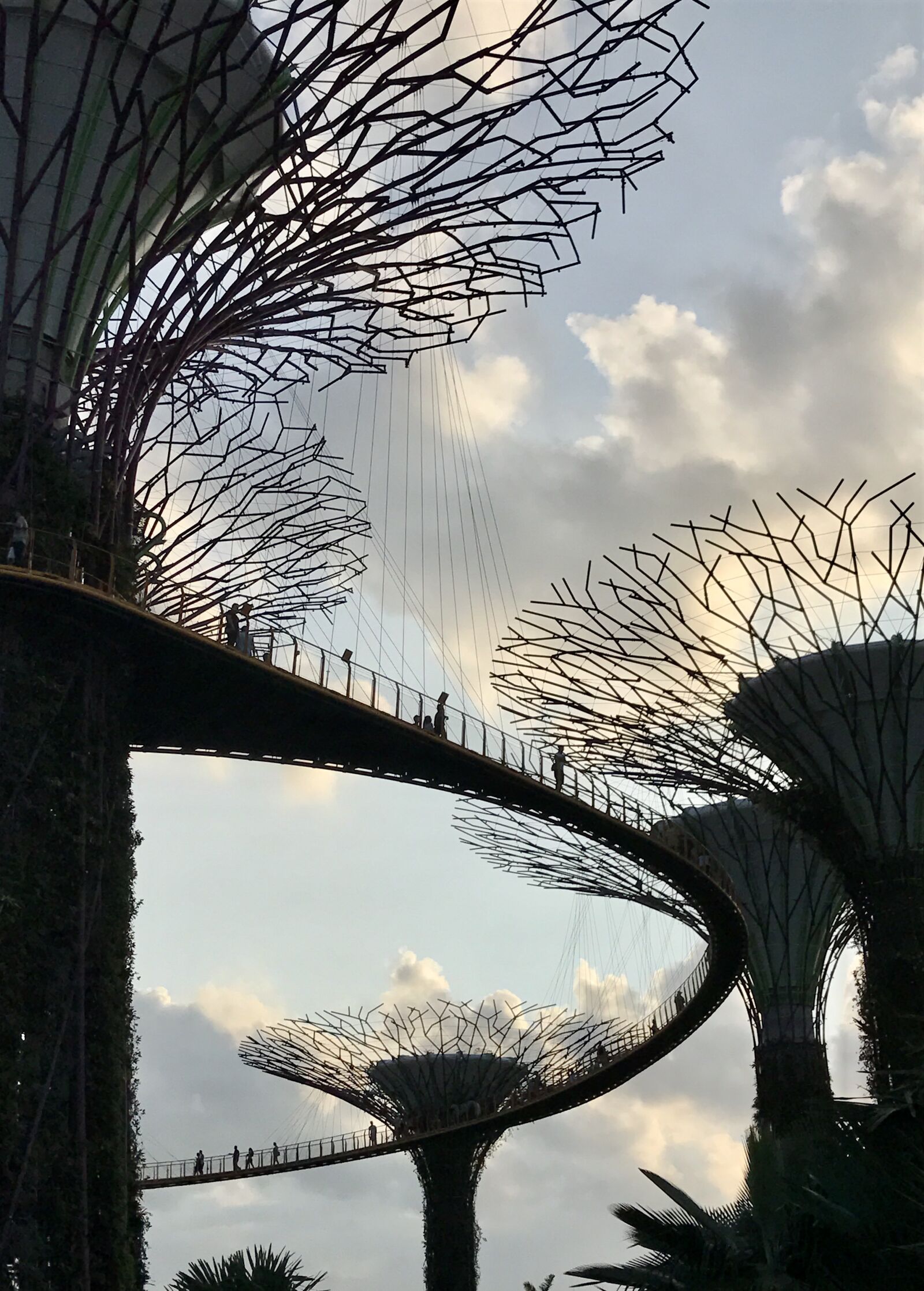 iPhone 7 back camera 3.99mm f/1.8 sample photo. Singapore, gardens by the photography