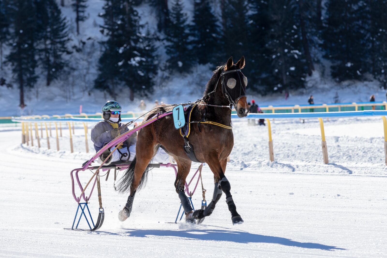 Canon EOS 6D Mark II sample photo. White turf, horse racing photography