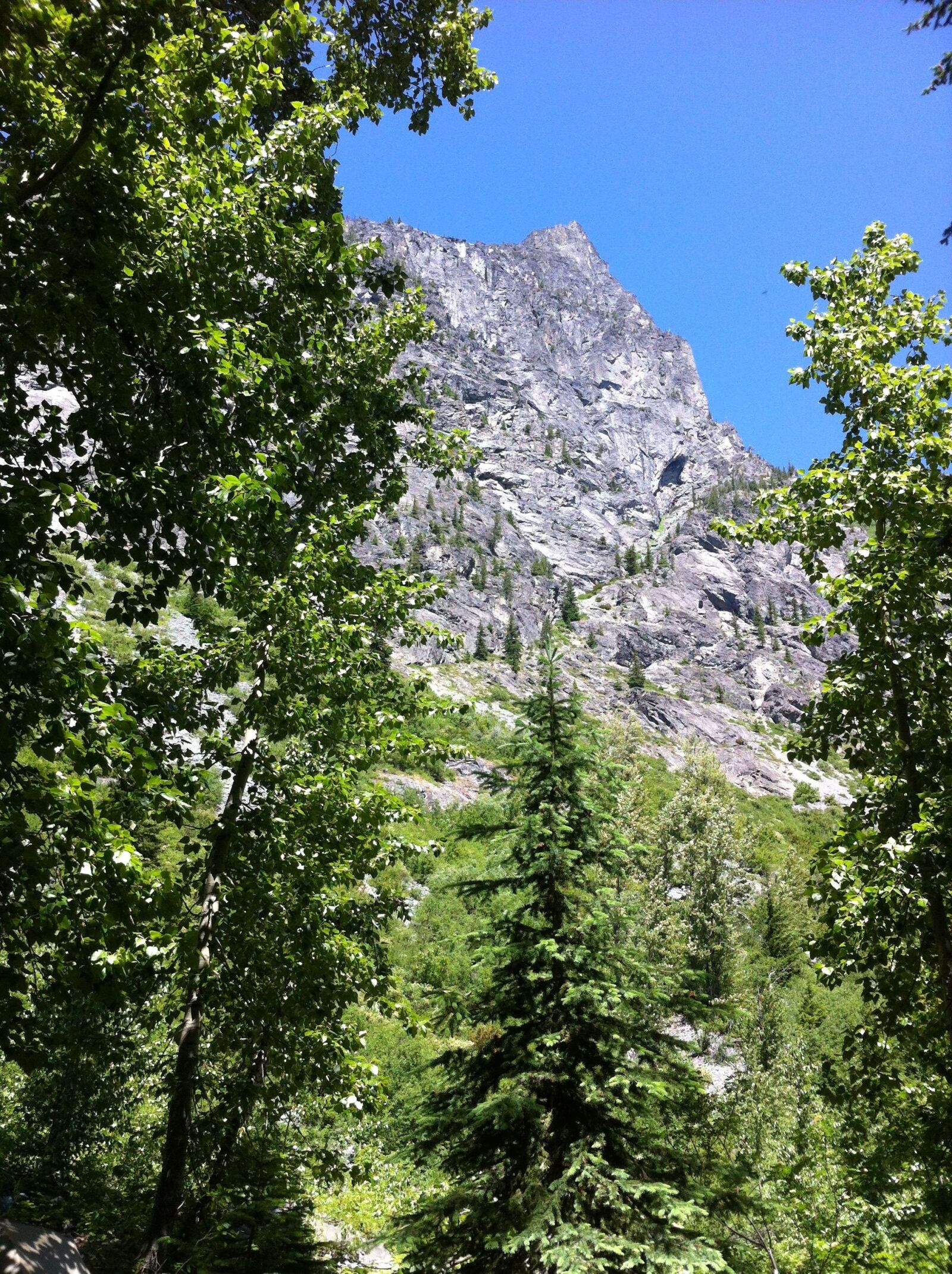 Apple iPhone 4 sample photo. Mountain, trees, cascades photography