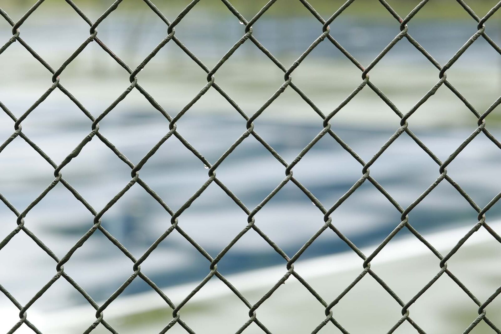 Canon EOS 80D sample photo. Fence, division, screen photography