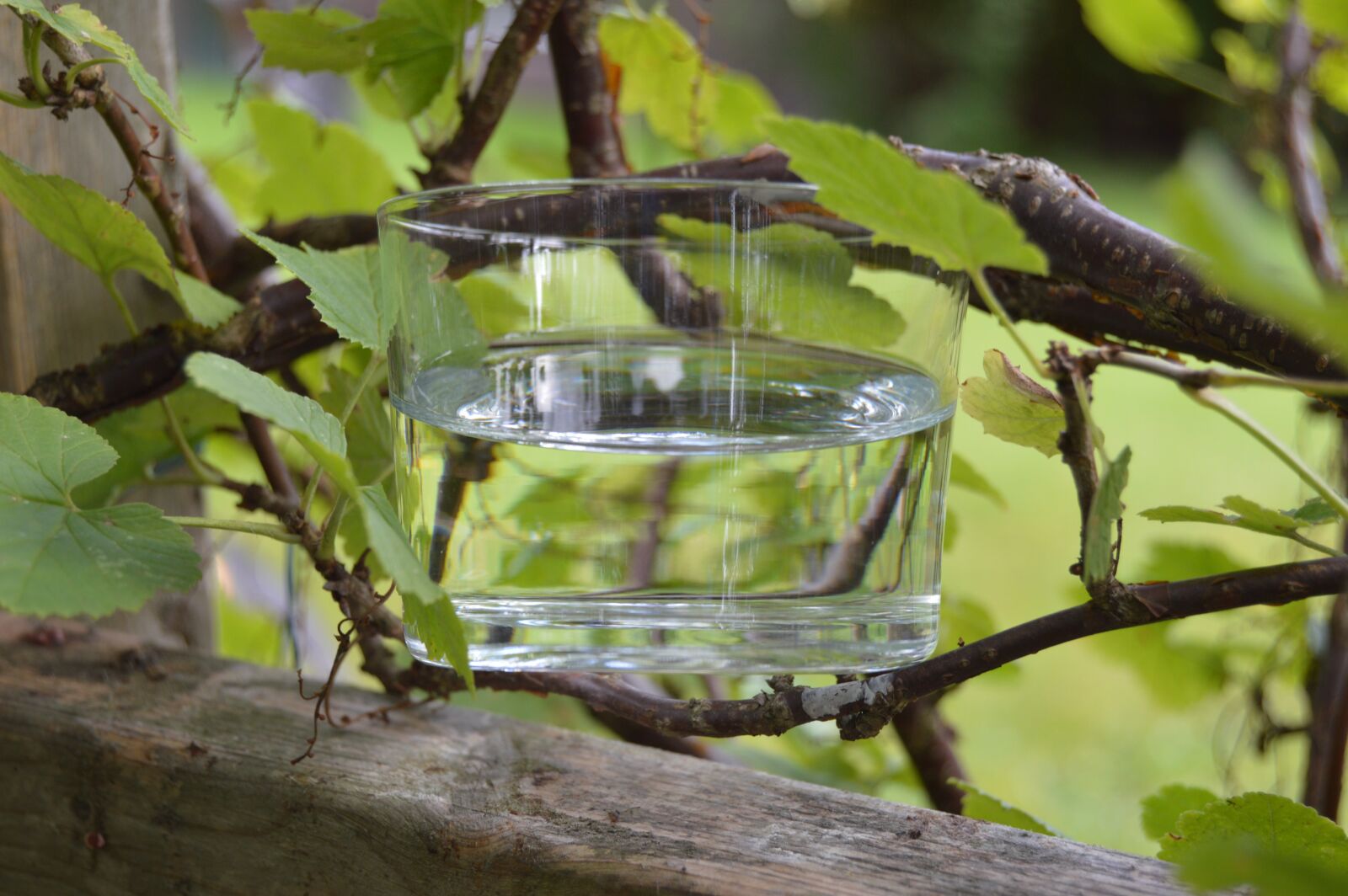 Nikon D3200 sample photo. Glass, water, teacup photography