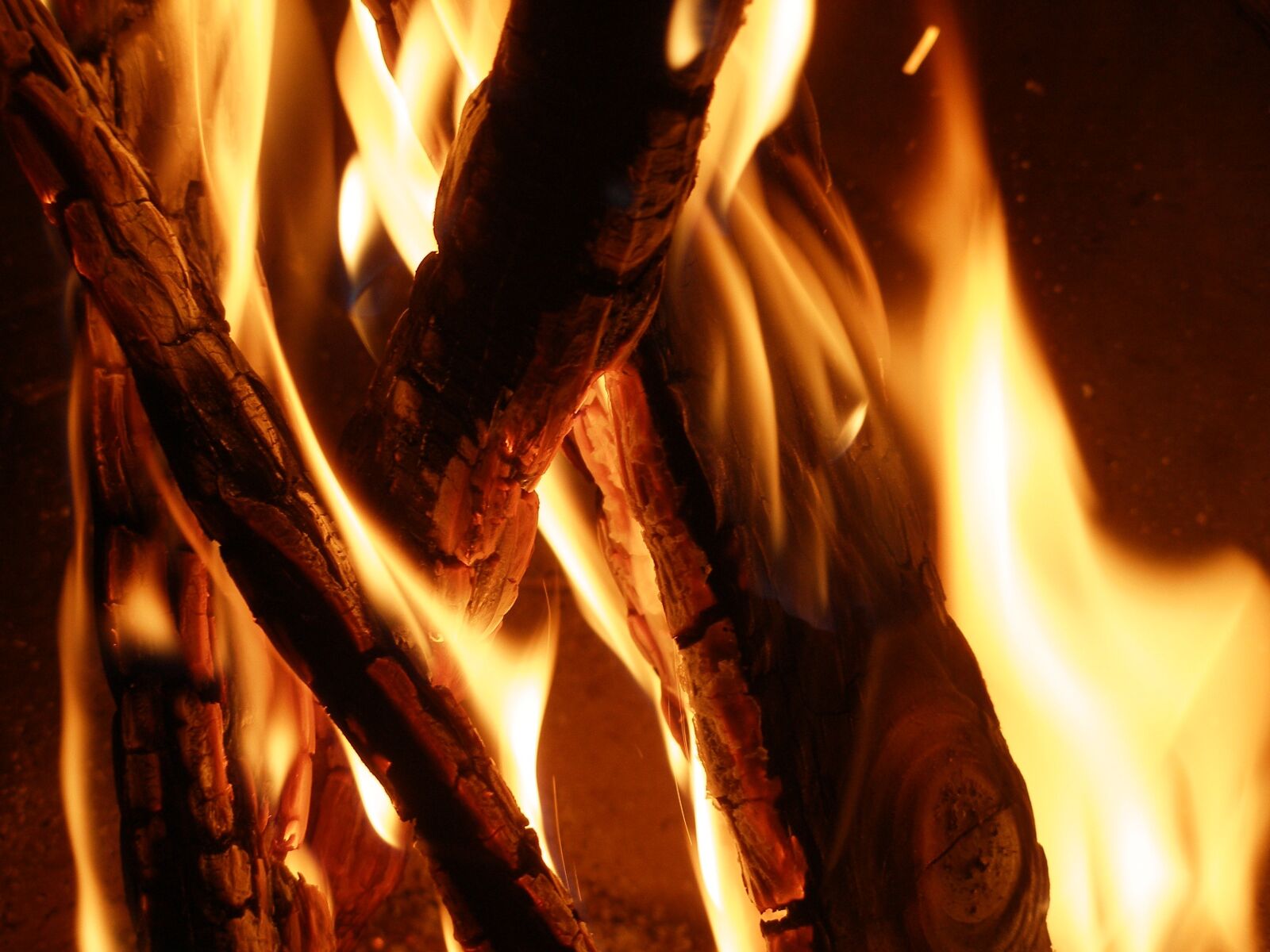 Olympus C70Z,C7000Z sample photo. Campfire, fire, burn photography