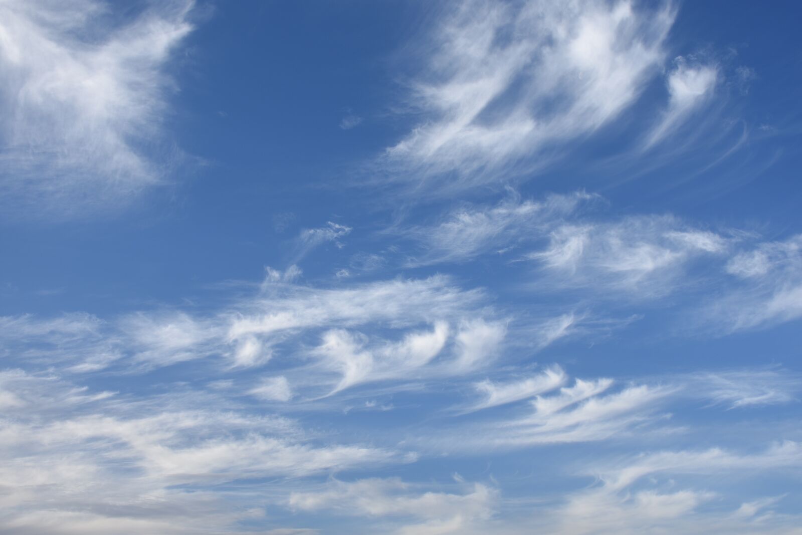 Nikon D7200 sample photo. Sky, blue, blue sky photography
