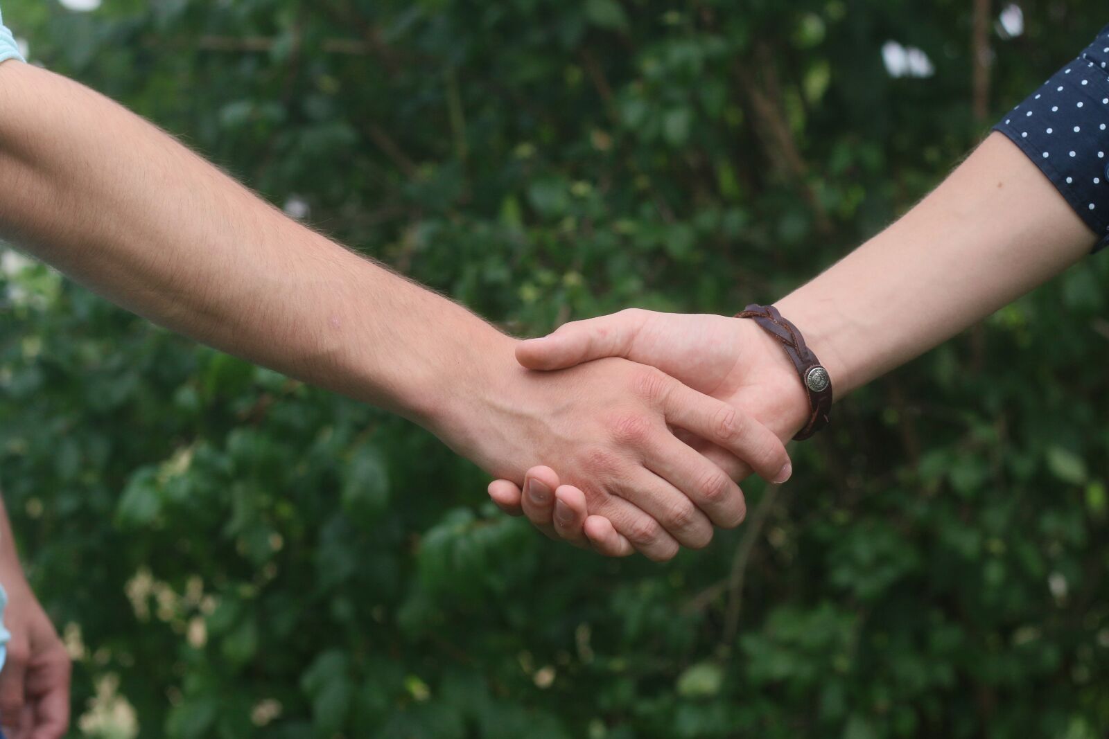 Canon EOS 70D + Canon EF 50mm F1.8 II sample photo. Hands, handshake, person photography