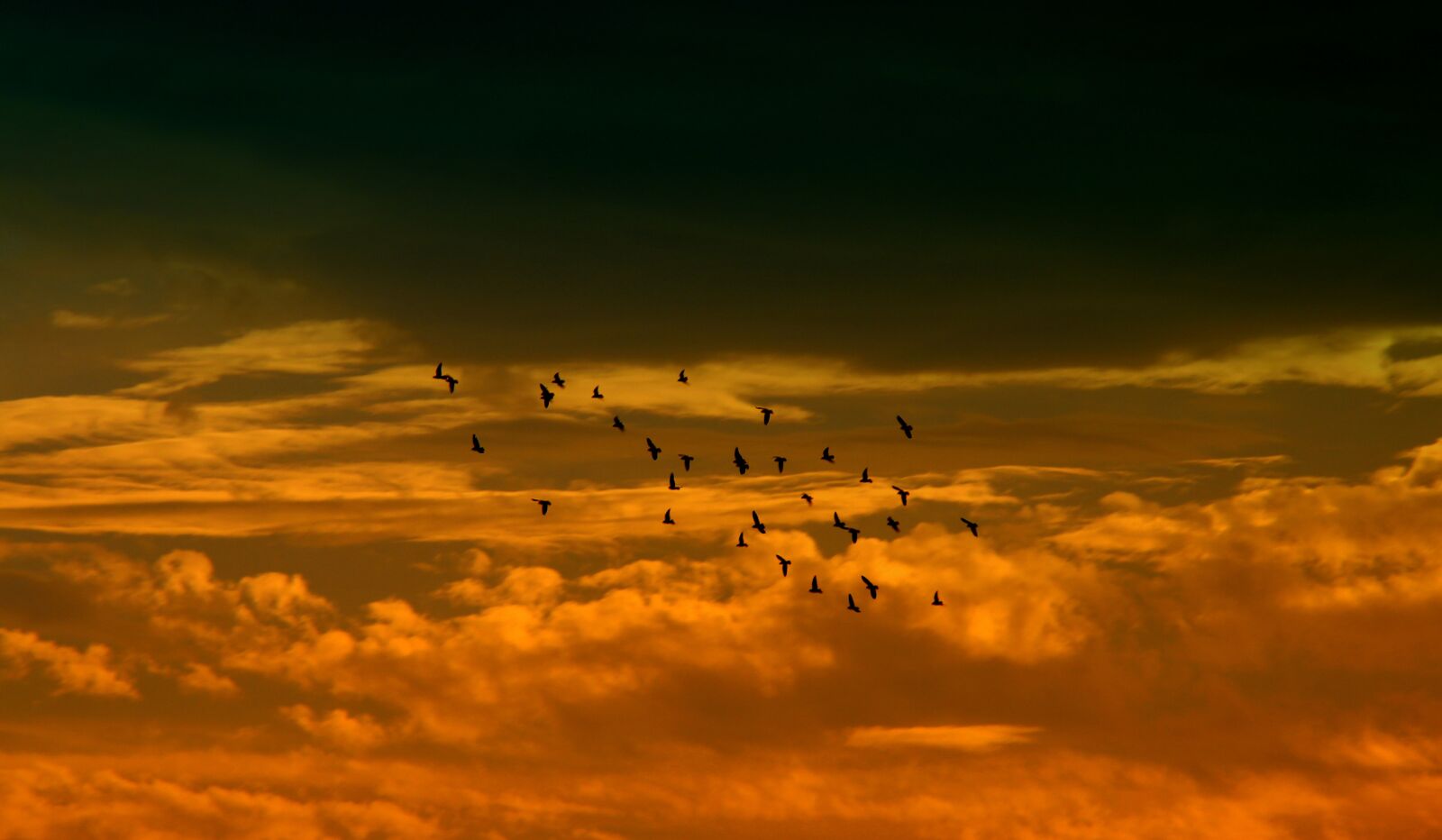 Canon EOS 700D (EOS Rebel T5i / EOS Kiss X7i) sample photo. Sunset, sky, cloud photography