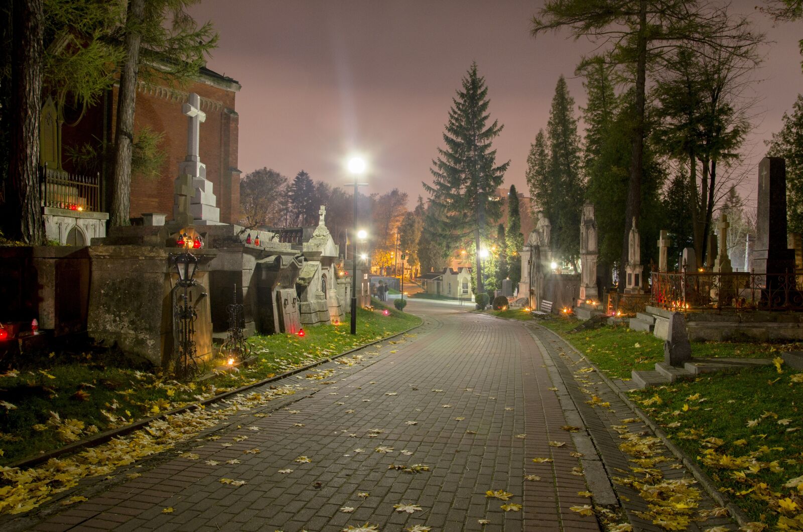 Nikon D5100 sample photo. Night, evening, cemetery photography