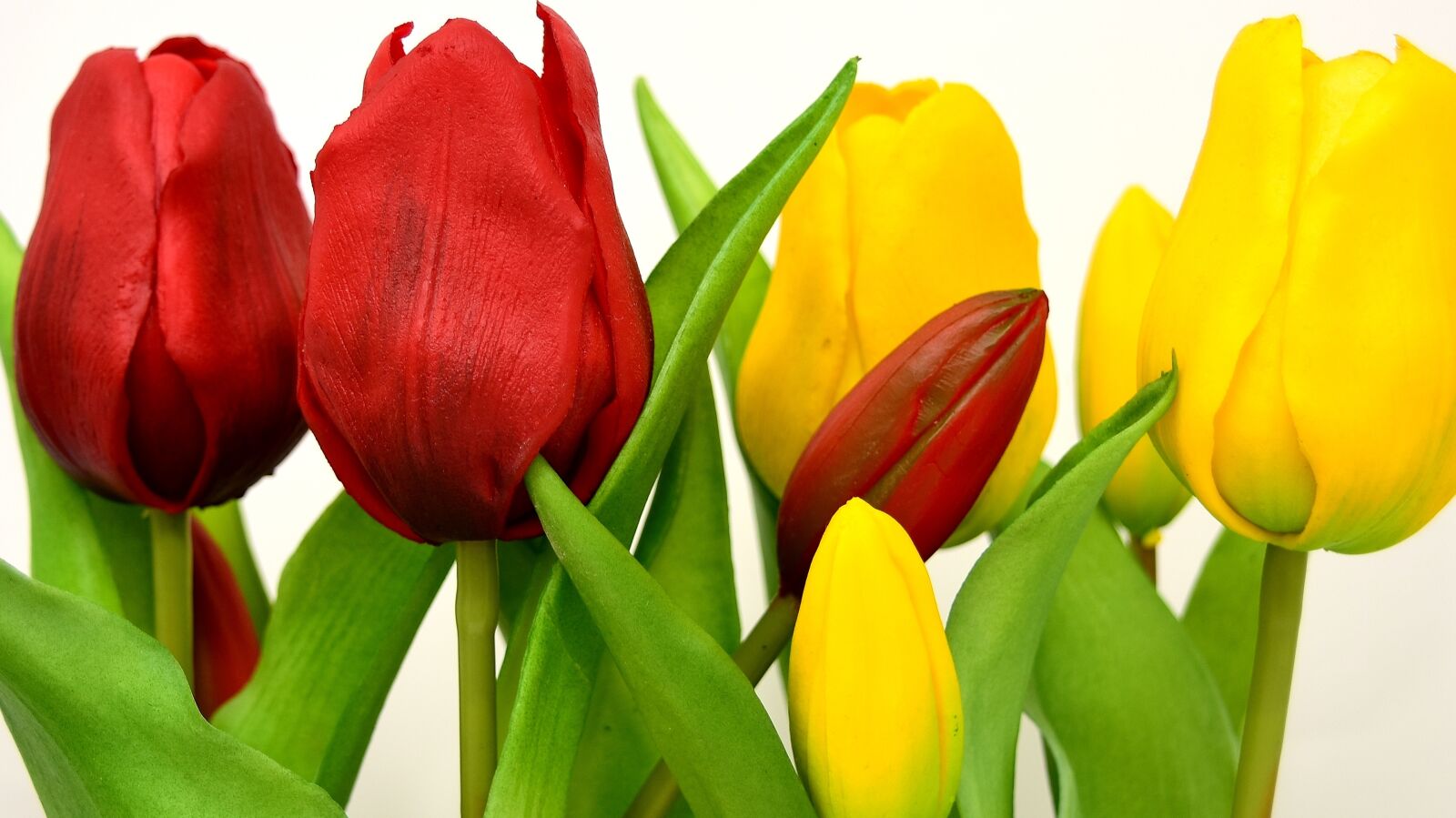 Nikon D7200 sample photo. Tulips, flowers, artificial photography
