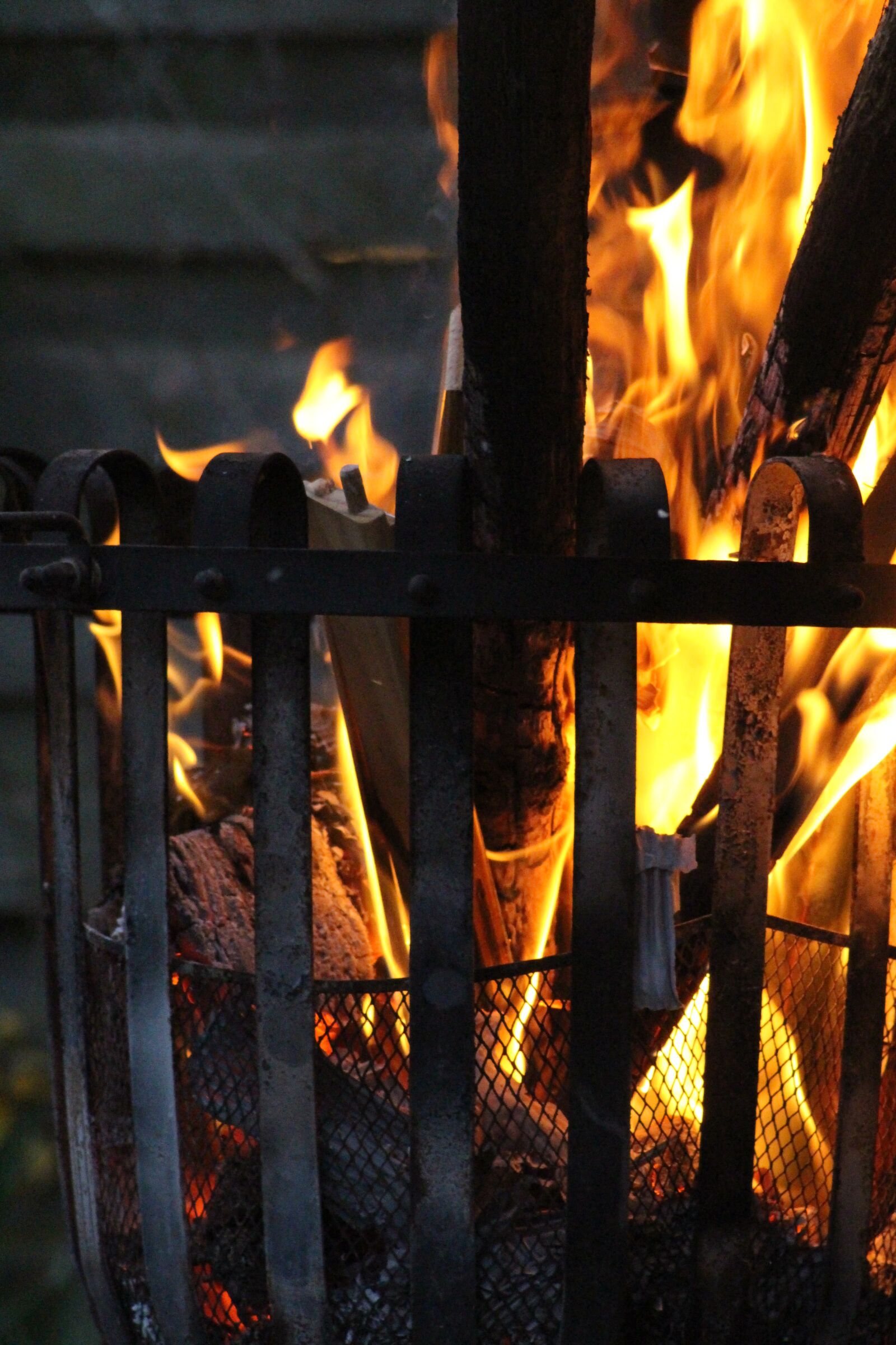 Canon EOS 700D (EOS Rebel T5i / EOS Kiss X7i) sample photo. Campfire, wood, flame photography