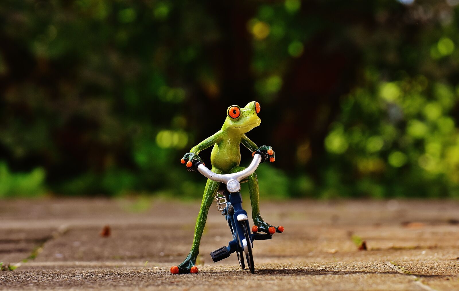 Nikon D7200 sample photo. Frog, bike, funny photography
