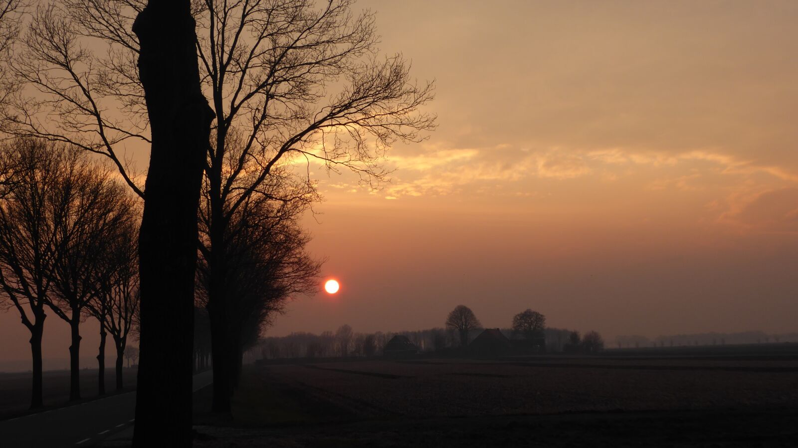 Panasonic Lumix DMC-ZS50 (Lumix DMC-TZ70) sample photo. Sunset, fuzzy, nature photography