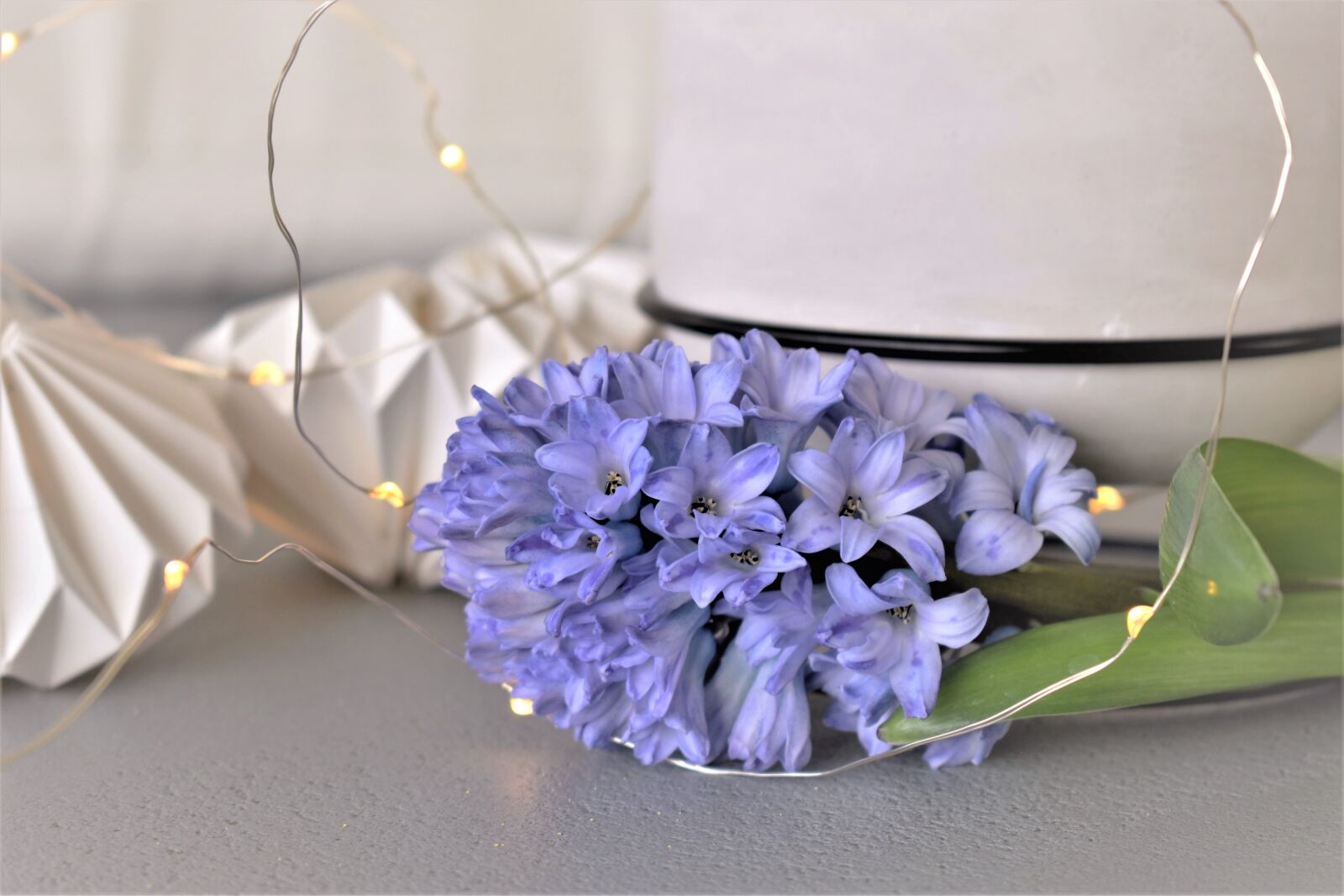 Nikon D5500 sample photo. Decoration, deco, table decorations photography