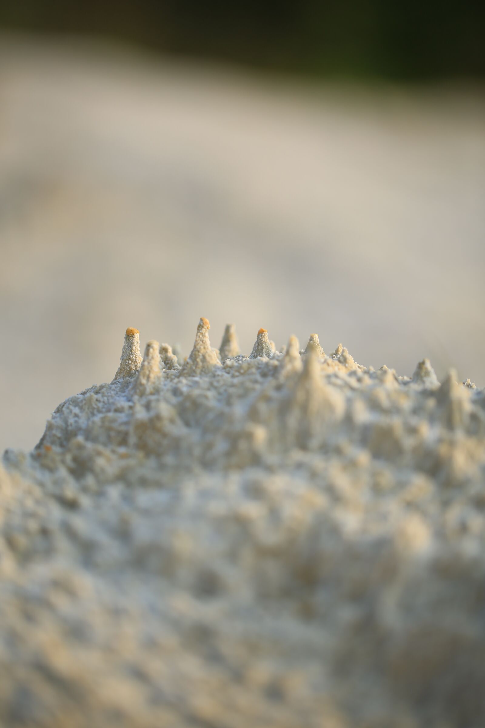 Canon EF 100mm F2.8L Macro IS USM sample photo. Sand, stones, nature photography