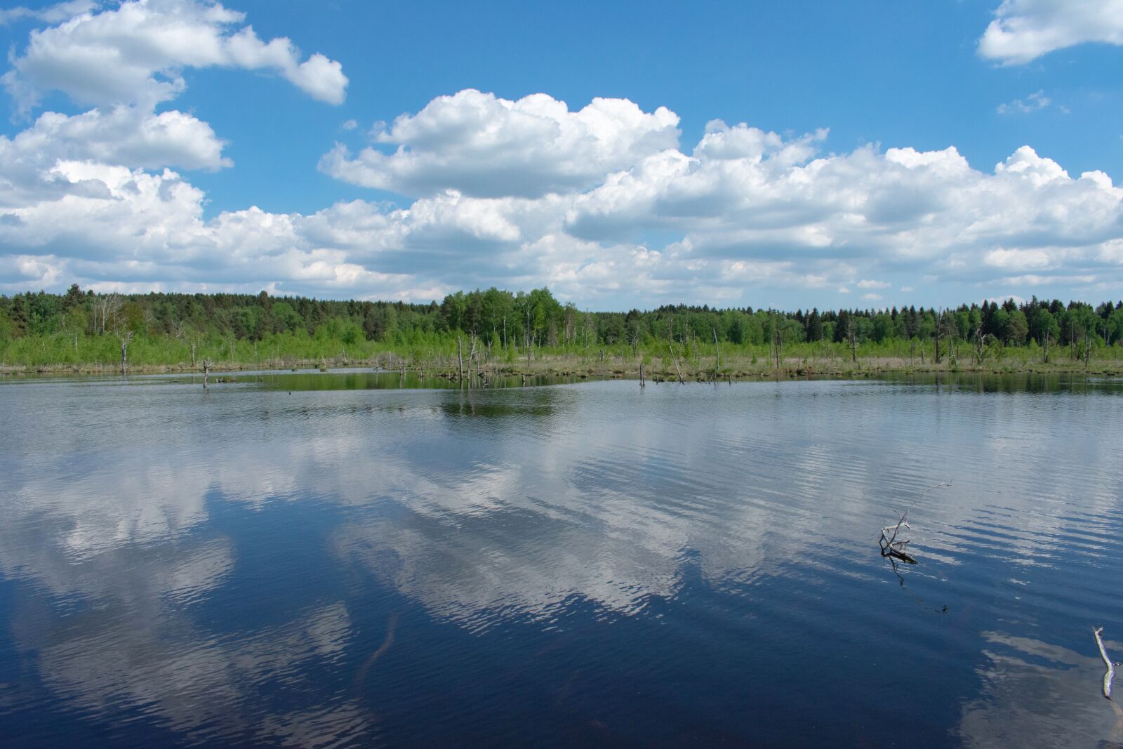 Nikon D3400 sample photo. Landscape, lake, nature photography