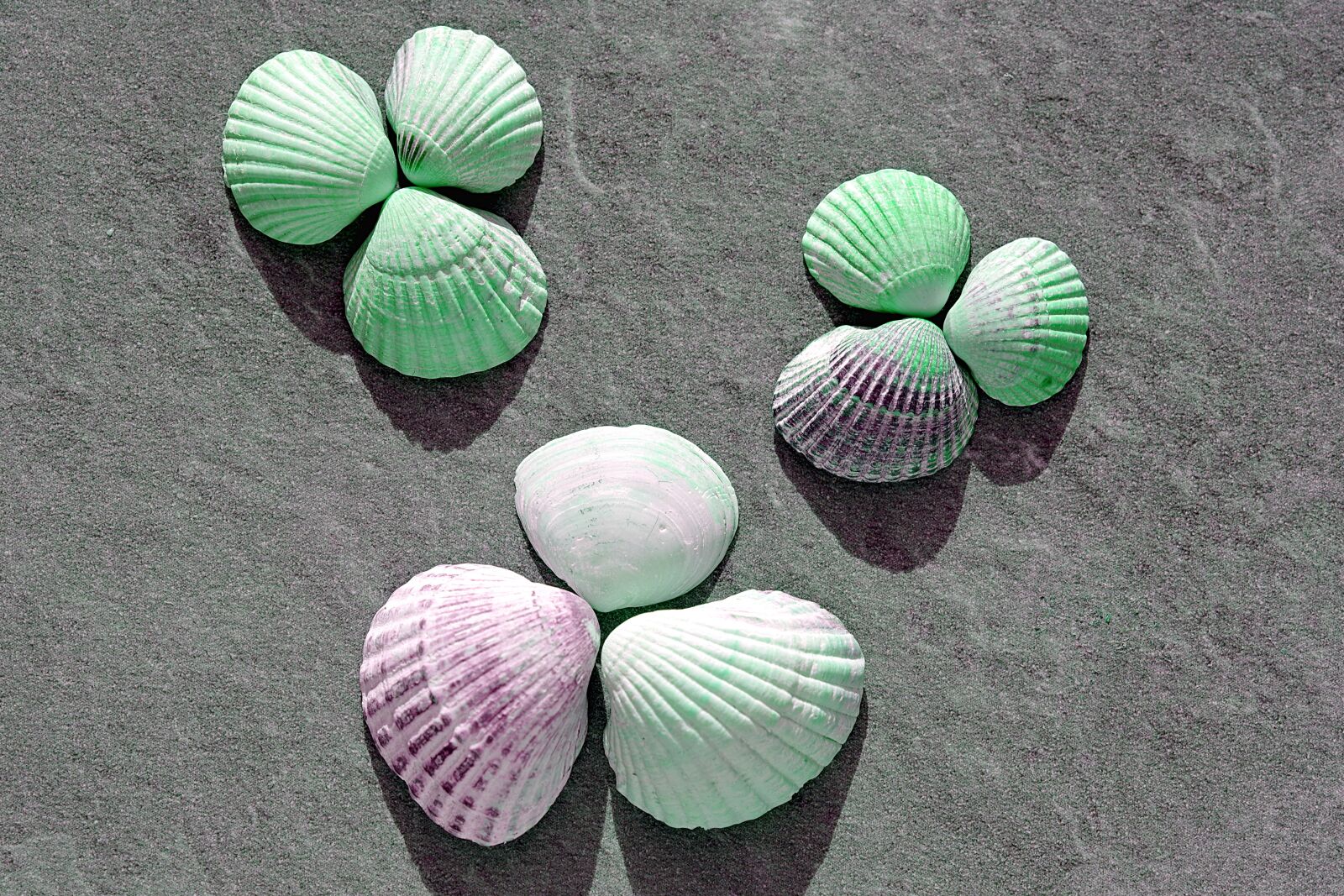 Pentax K-S2 sample photo. Shells, holidays, sea photography