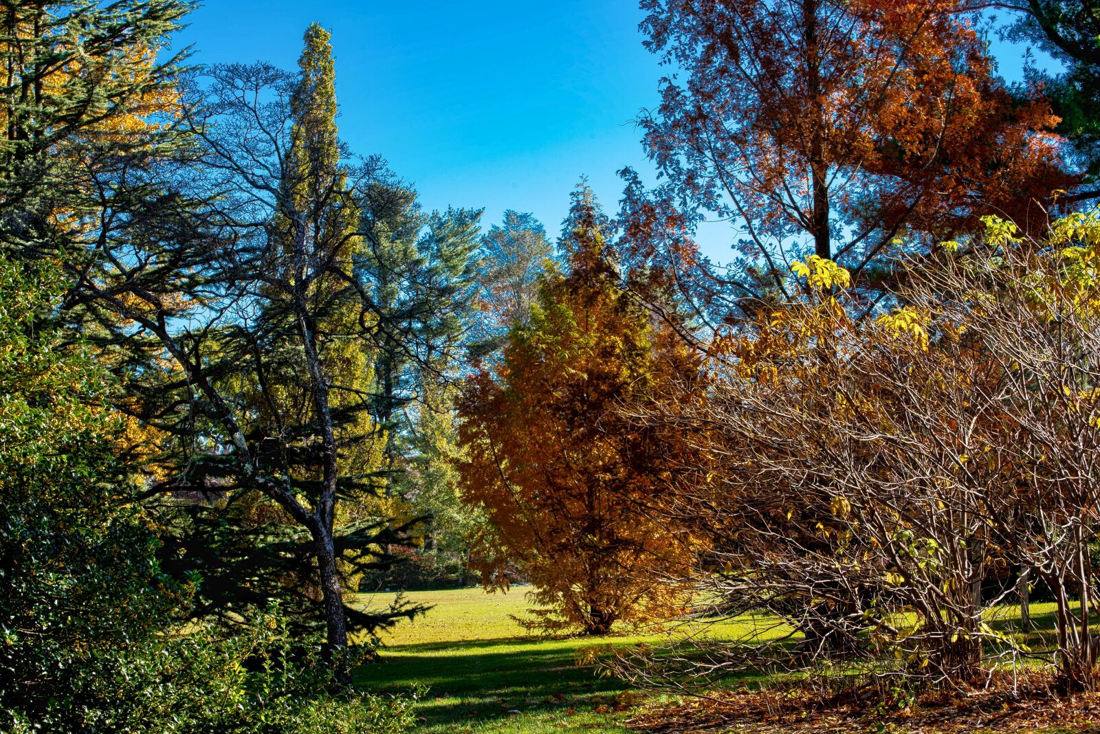 Nikon D750 sample photo. Planting fields, fall season photography