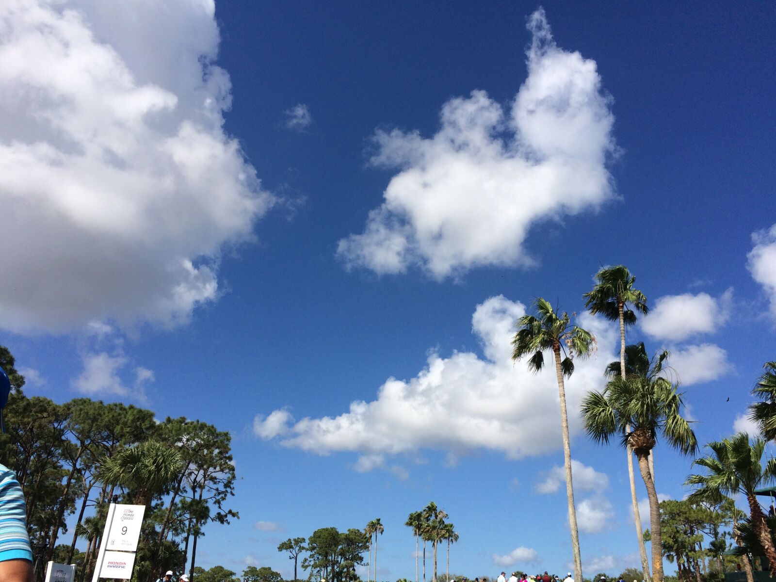 Apple iPhone 5s sample photo. Sky, florida, clouds photography