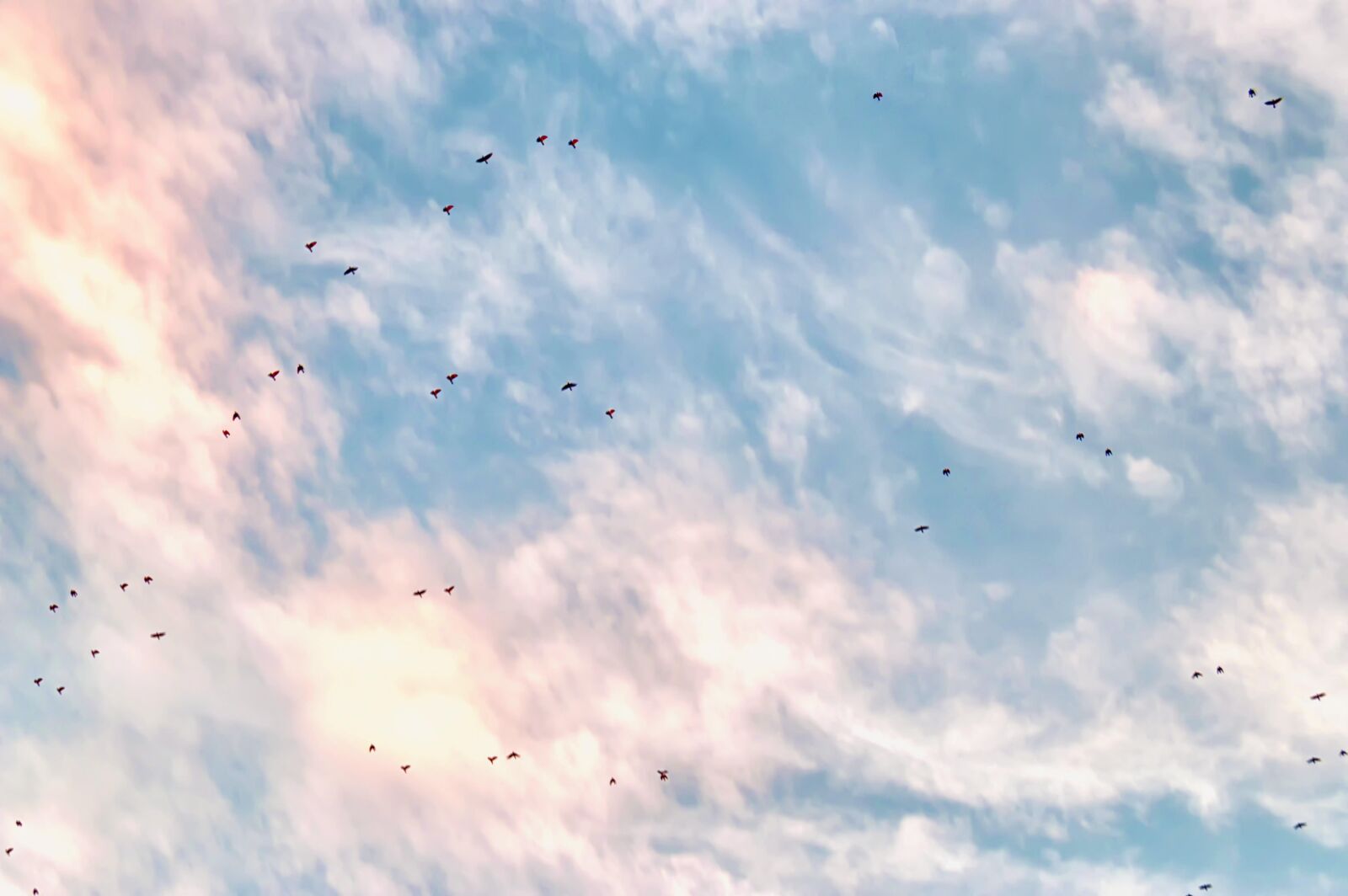 Nikon D3200 sample photo. Clouds, sky, migration photography