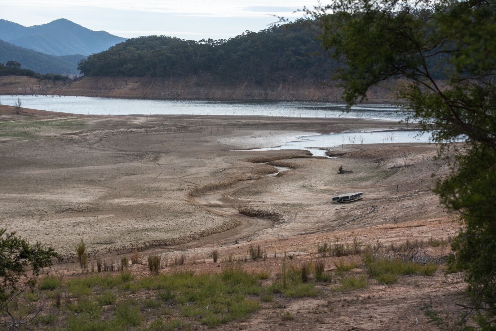 Nikon D750 sample photo. Drought, barren, irrigation photography